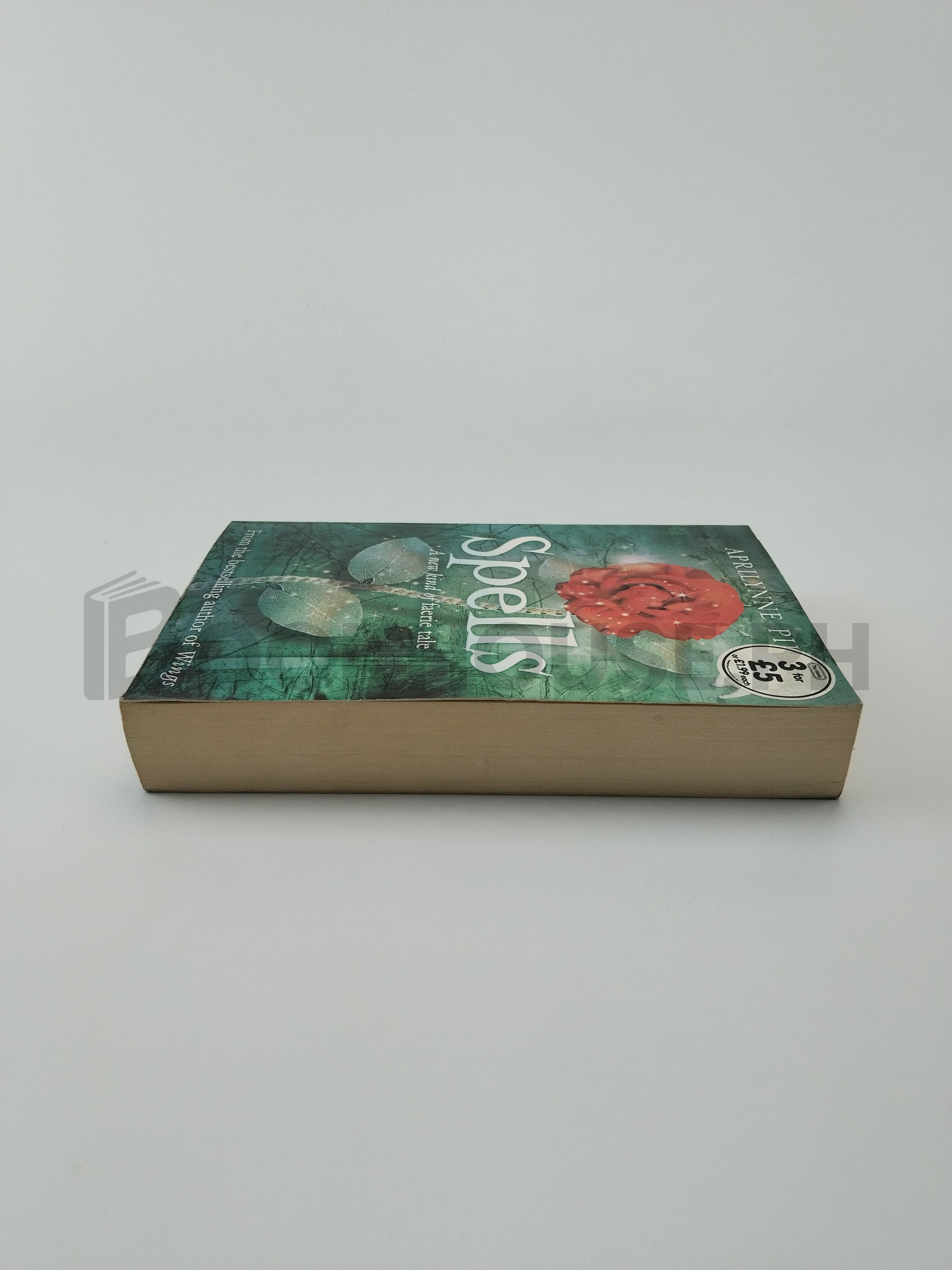 Spells by Aprilynne Pike - Image 4