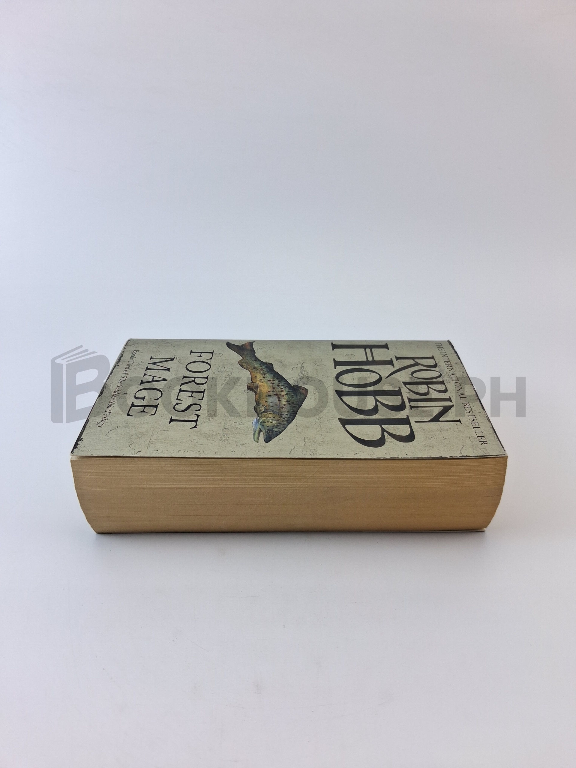 Forest Mage by Robin Hobb - Image 4