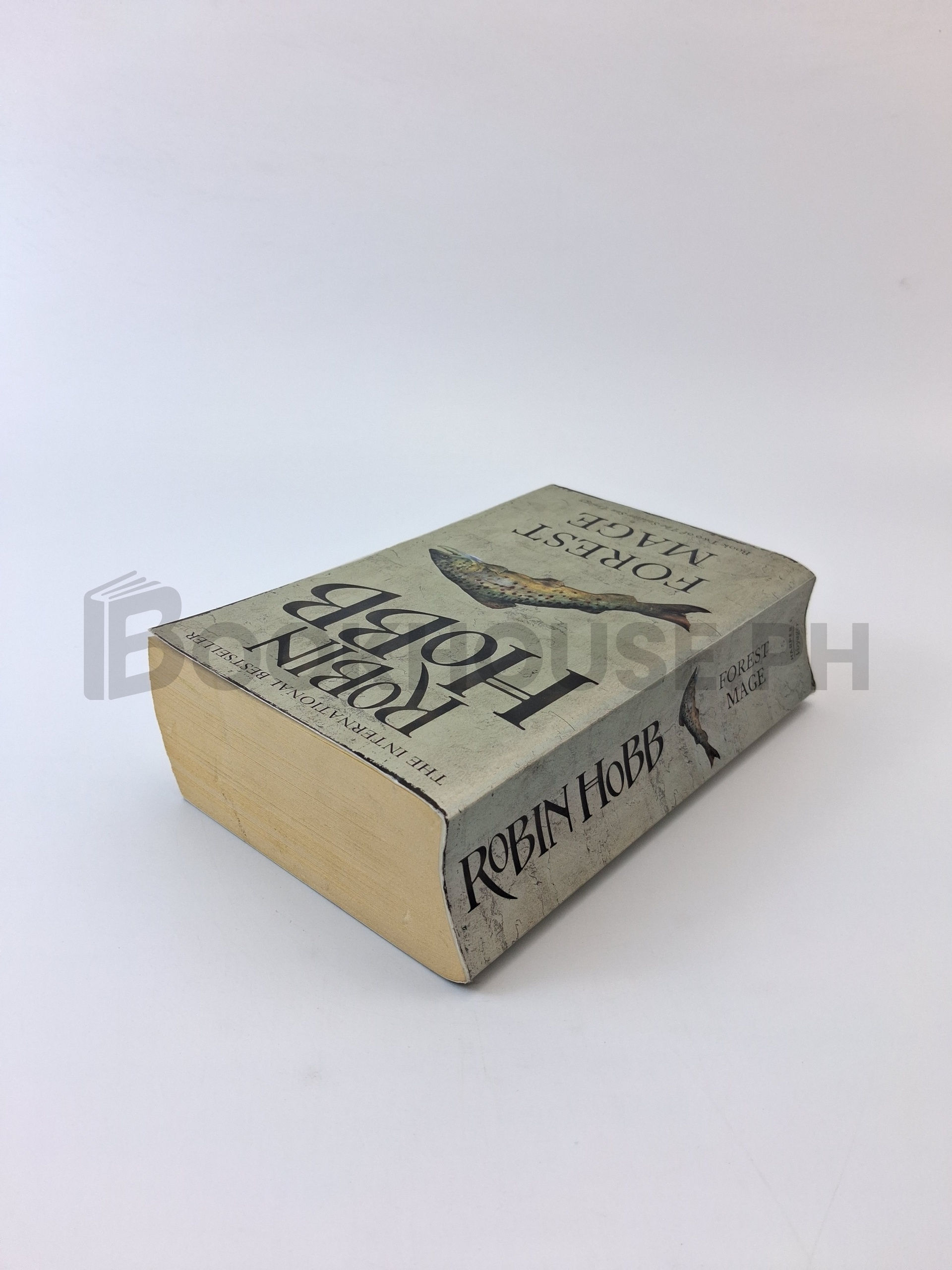 Forest Mage by Robin Hobb - Image 2