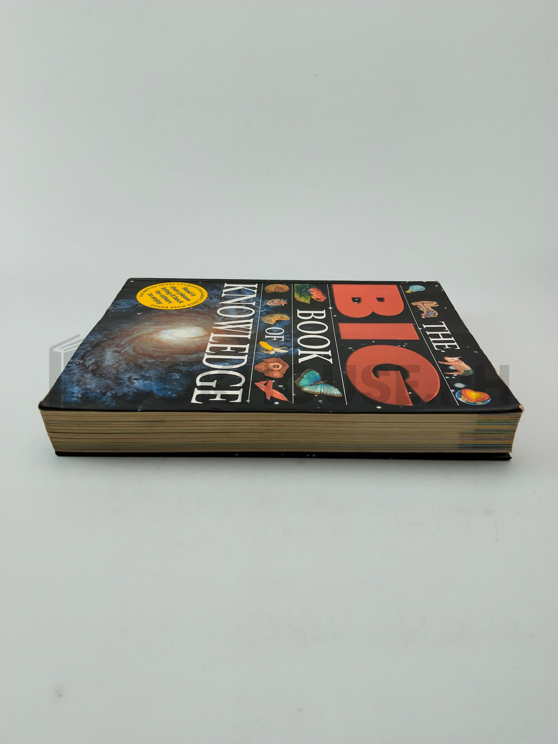 The Big Book Of Knowledge by Parragon - Image 4