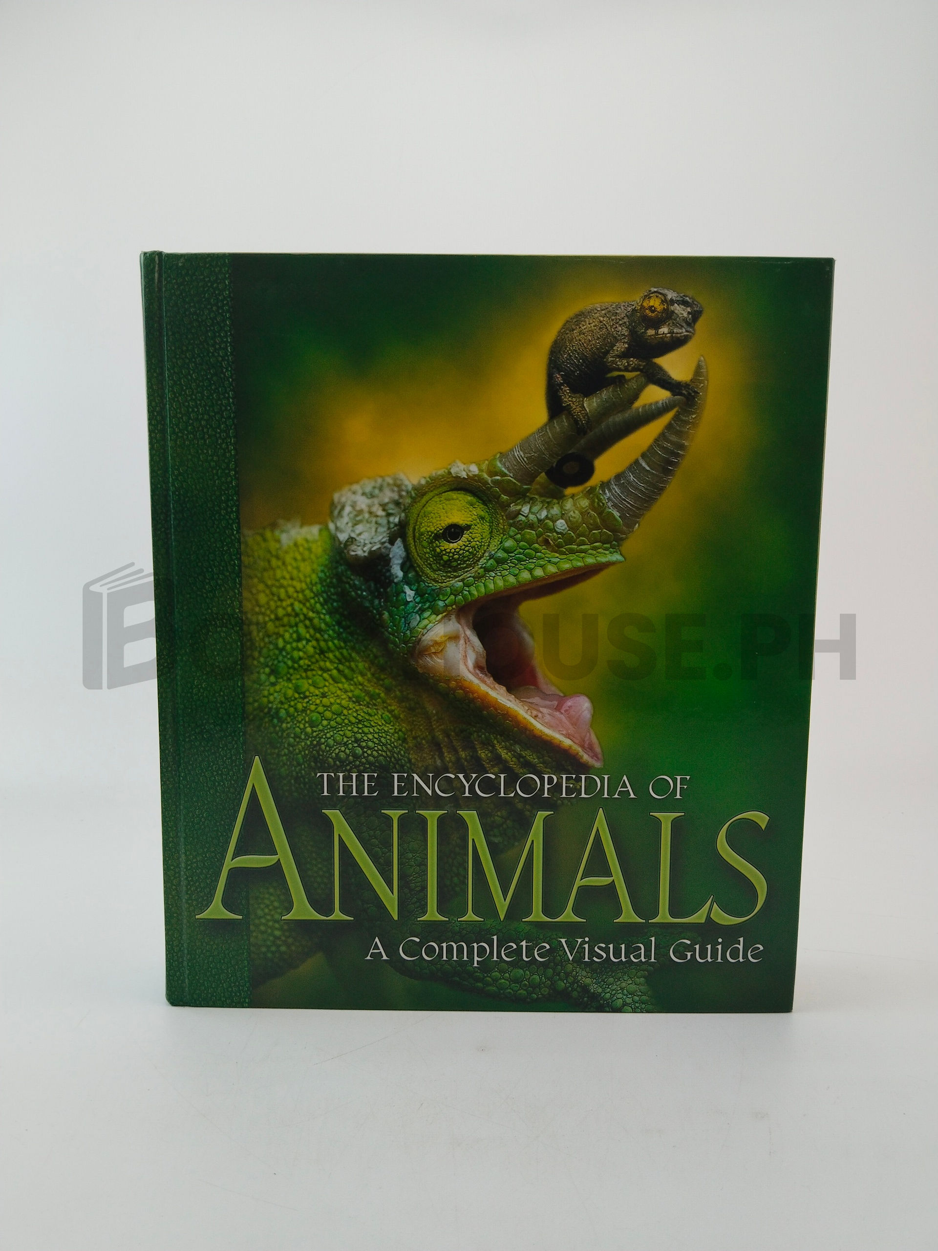 The Encyclopedia Of Animals by Unknown Uk Publisher