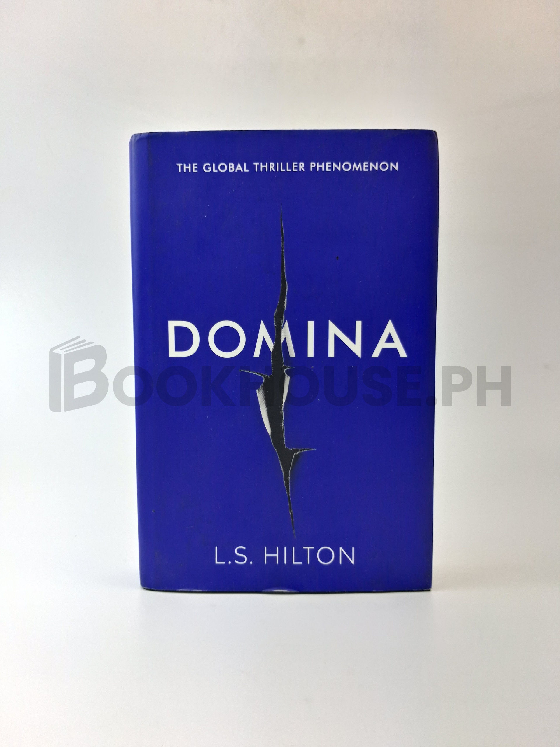 Domina by L. S. Hilton