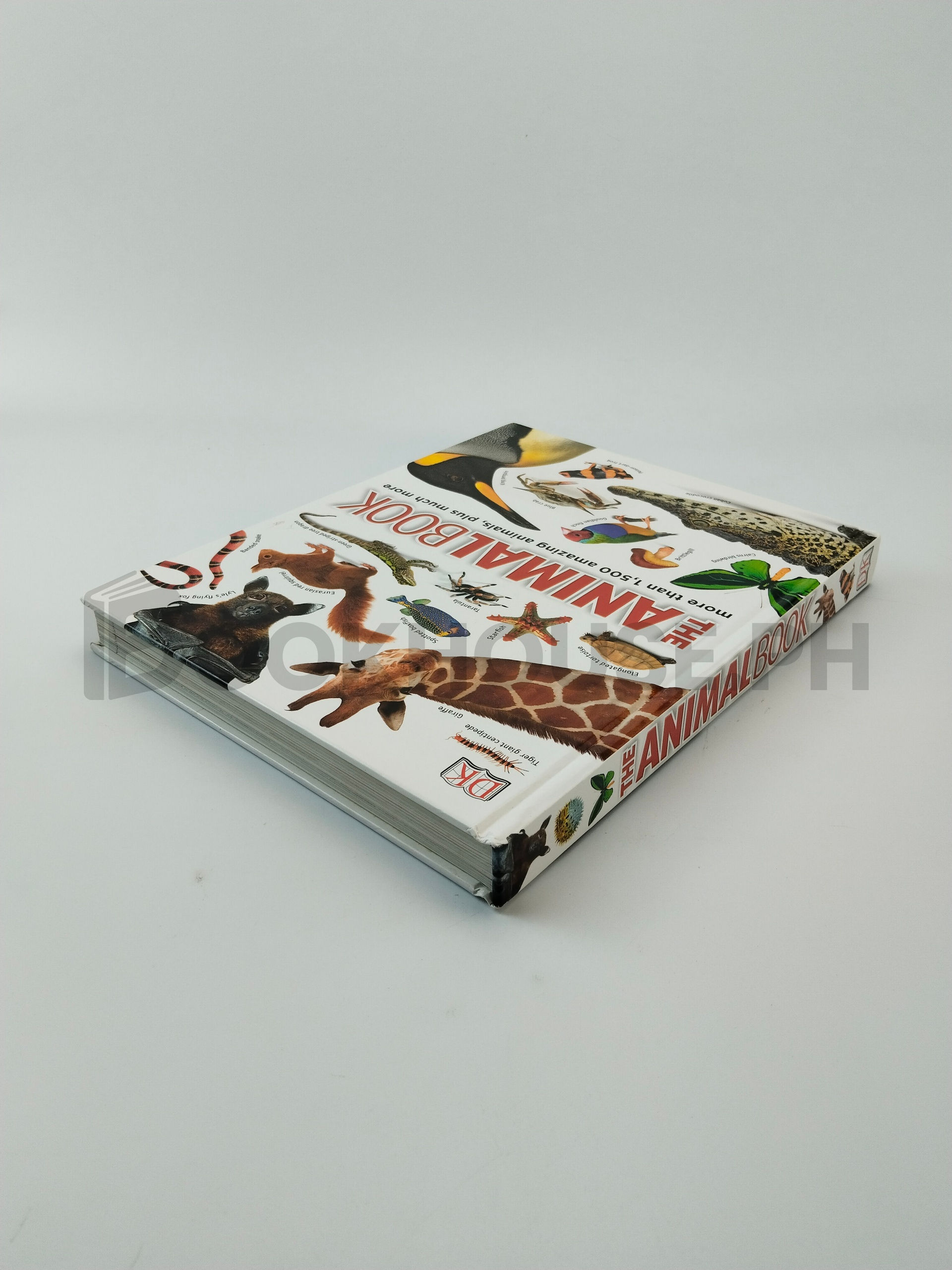 The Animal Book by Dk - Image 2