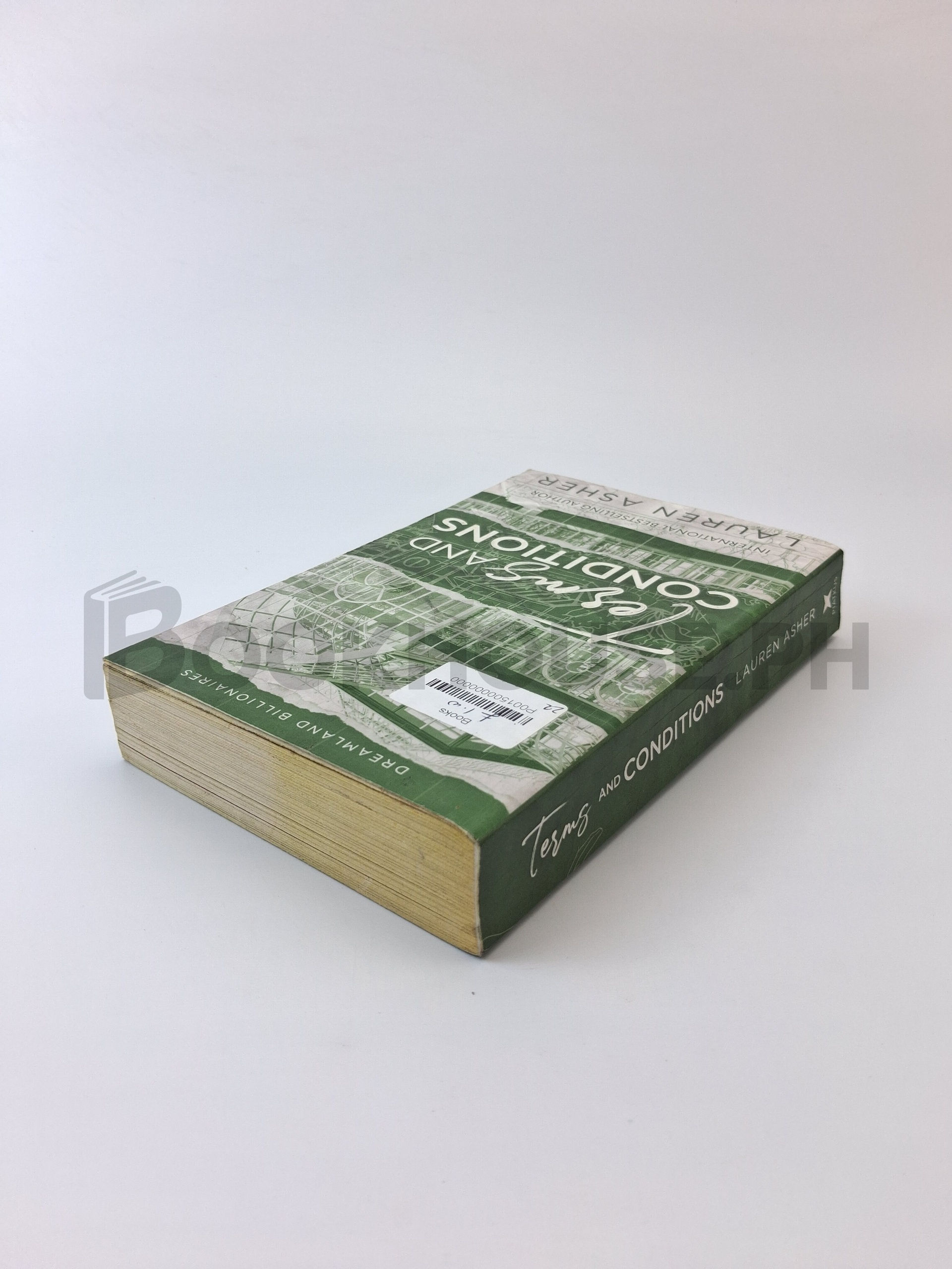 Terms And Conditions by Lauren Asher - Image 2