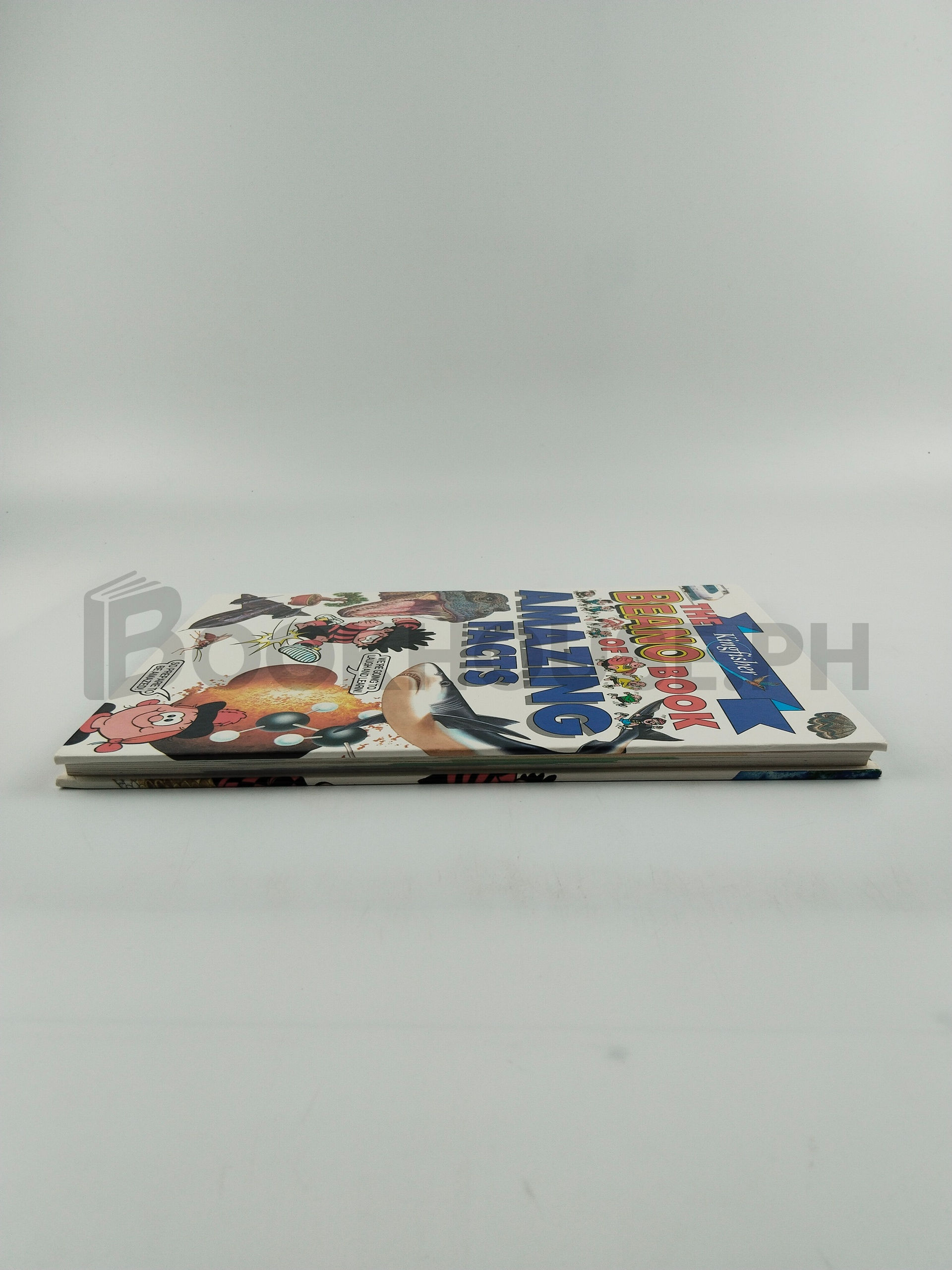 The Kingfisher Beano Book Of Amazing Facts by Angela Royston, Mandy Cleeve, Linda Sonntag, Jill Thomas - Image 4