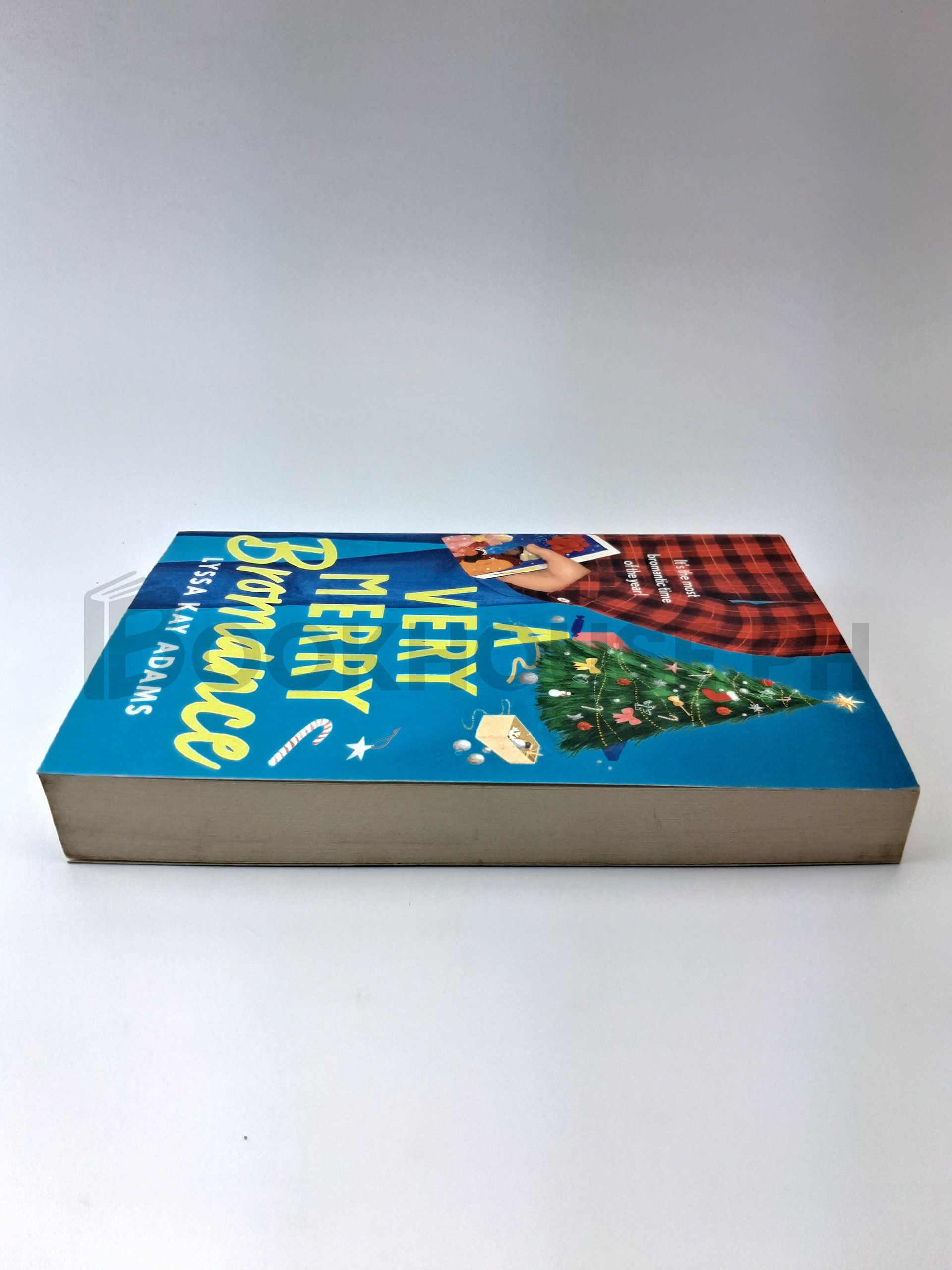 A Very Merry Bromance by Lyssa Kay Adams - Image 4