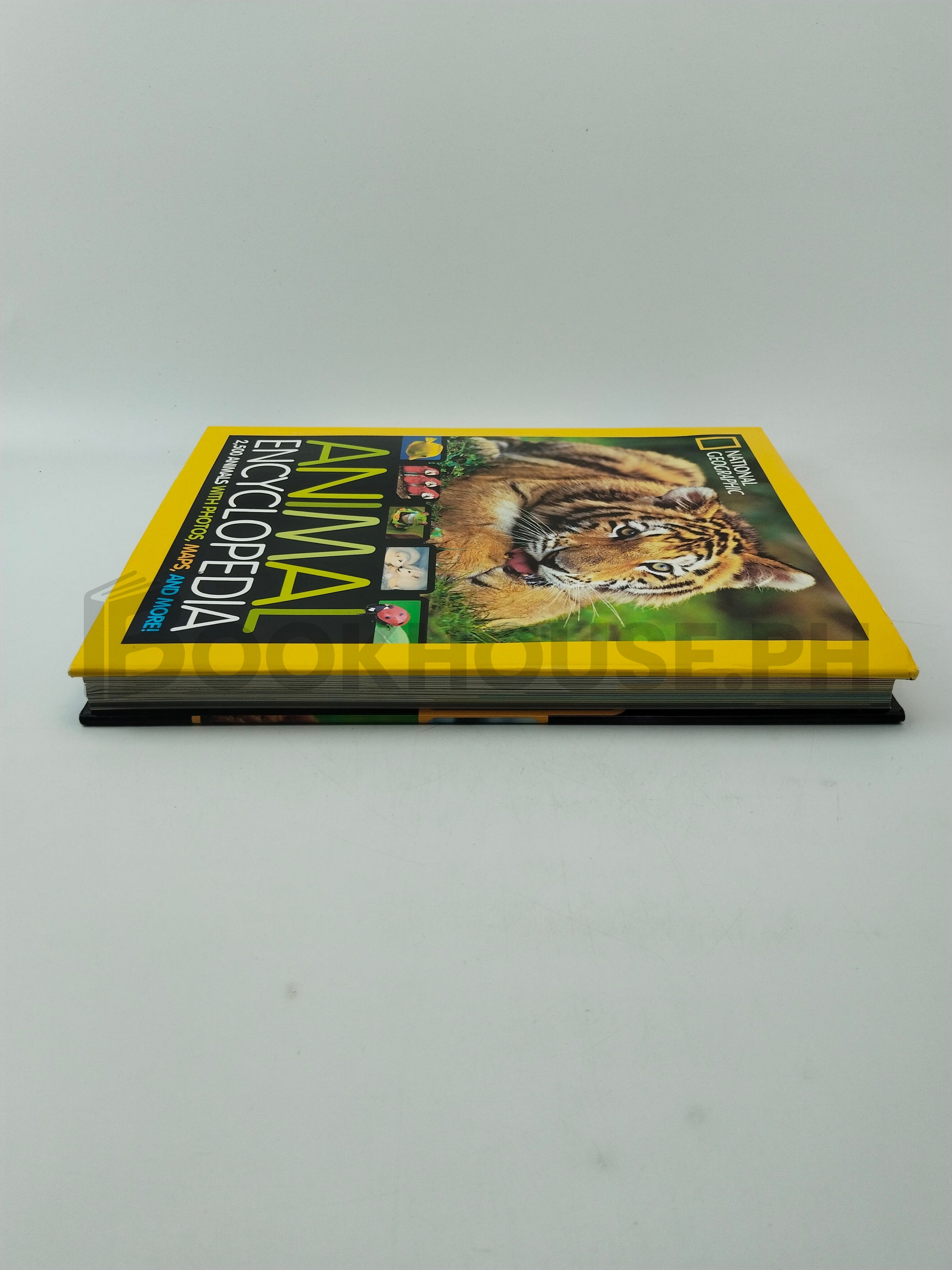 National Geographic Animal Encyclopedia by Lucy Spelman, Lucy H. Spelman - Image 4