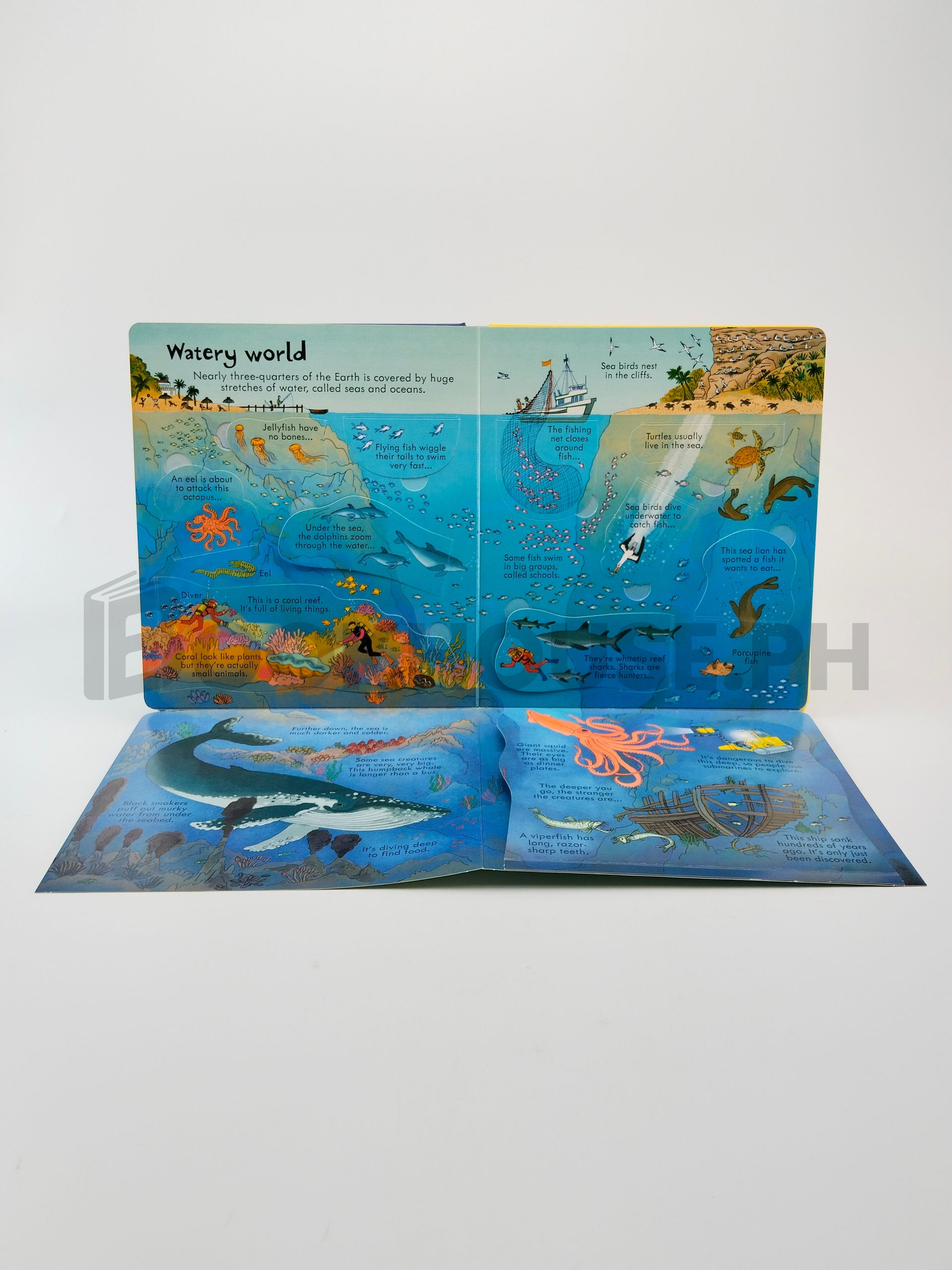 Look Inside Our World by Emily Bone - Image 5