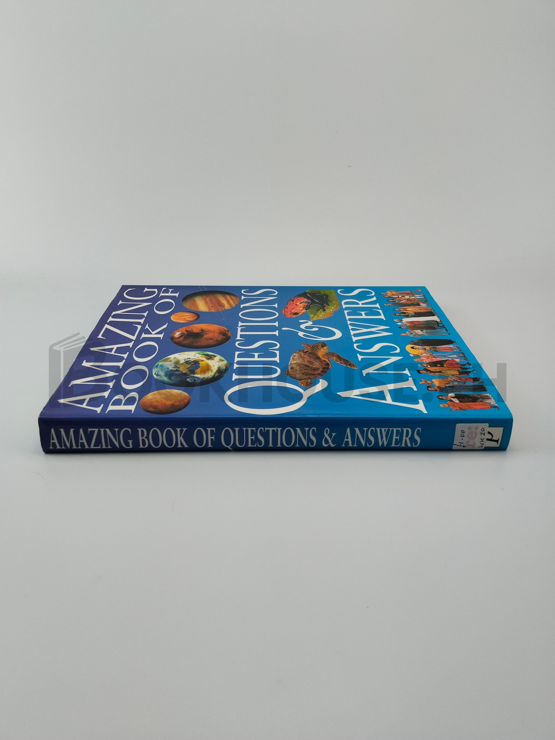 Amazing Book Of Questions & Answers by John Farndon, Angela Koo - Image 3