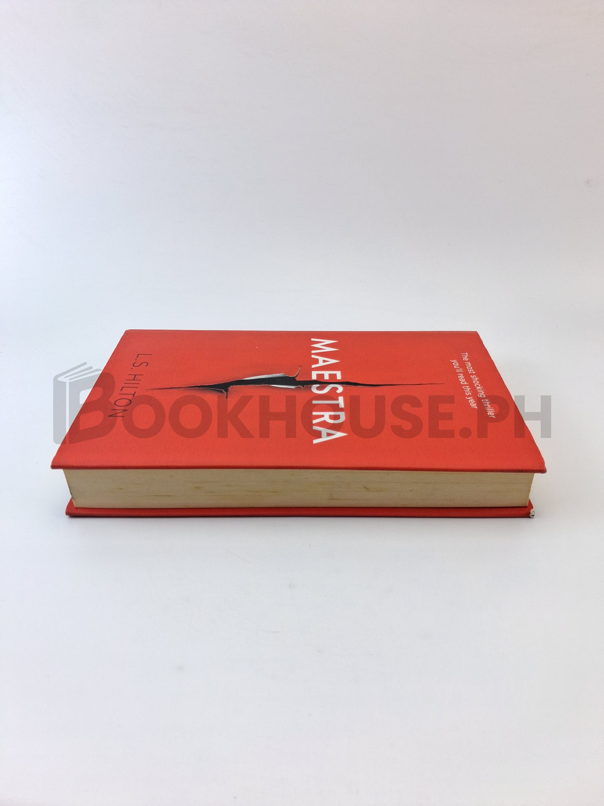 Maestra by L. S. Hilton - Image 4