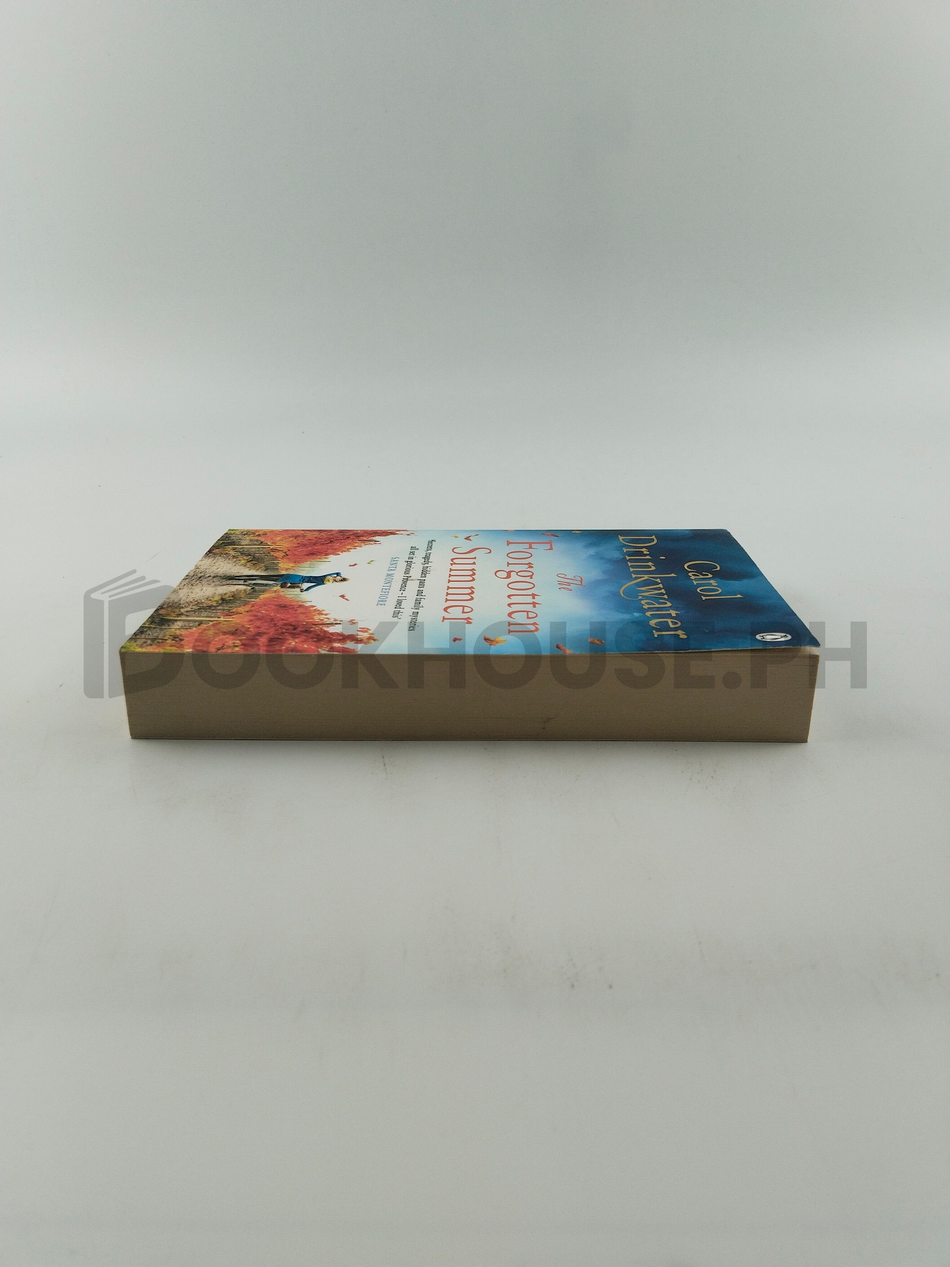 The Forgotten Summer by Carol Drinkwater - Image 4