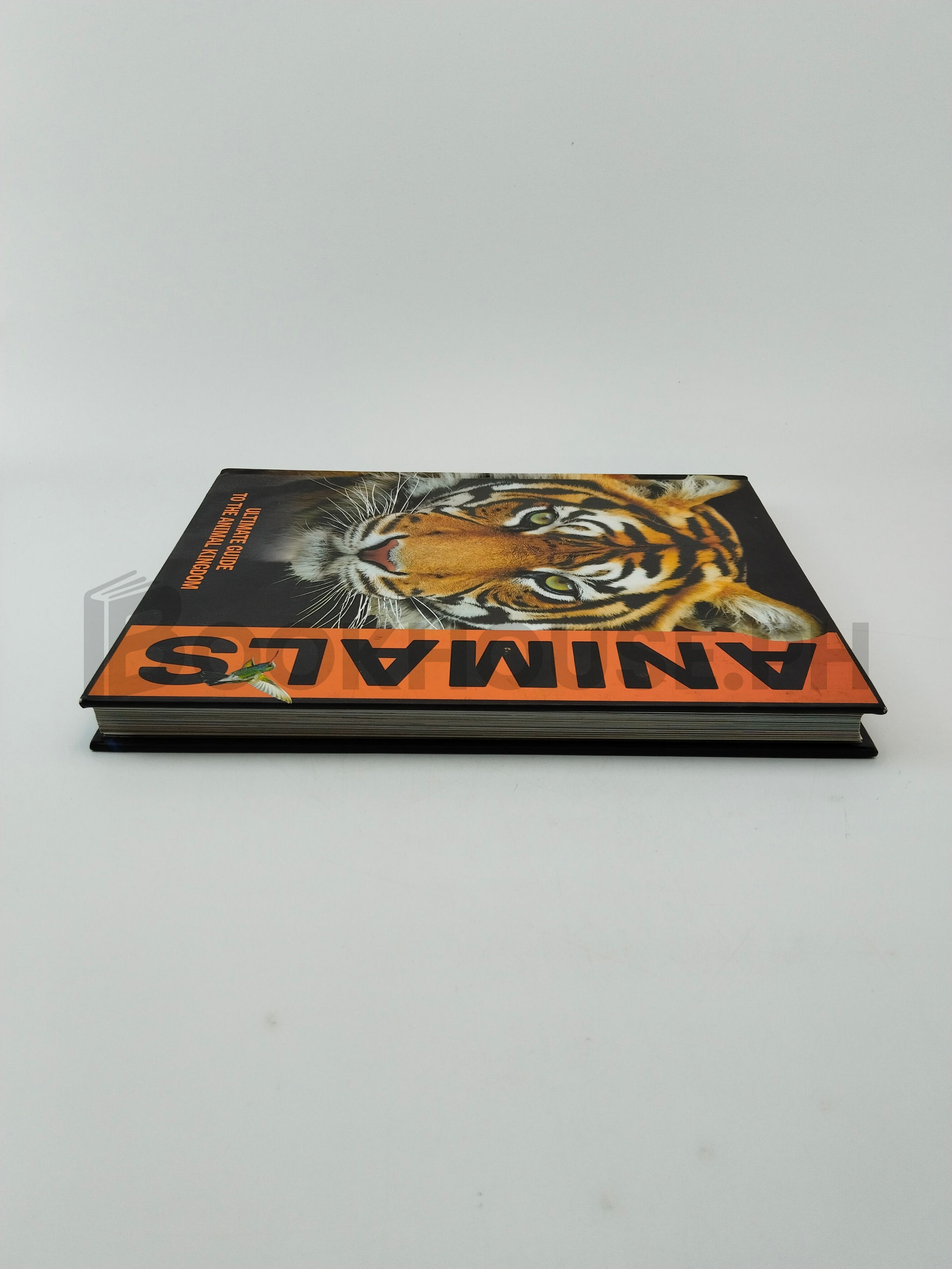 Animals by Parragon - Image 4