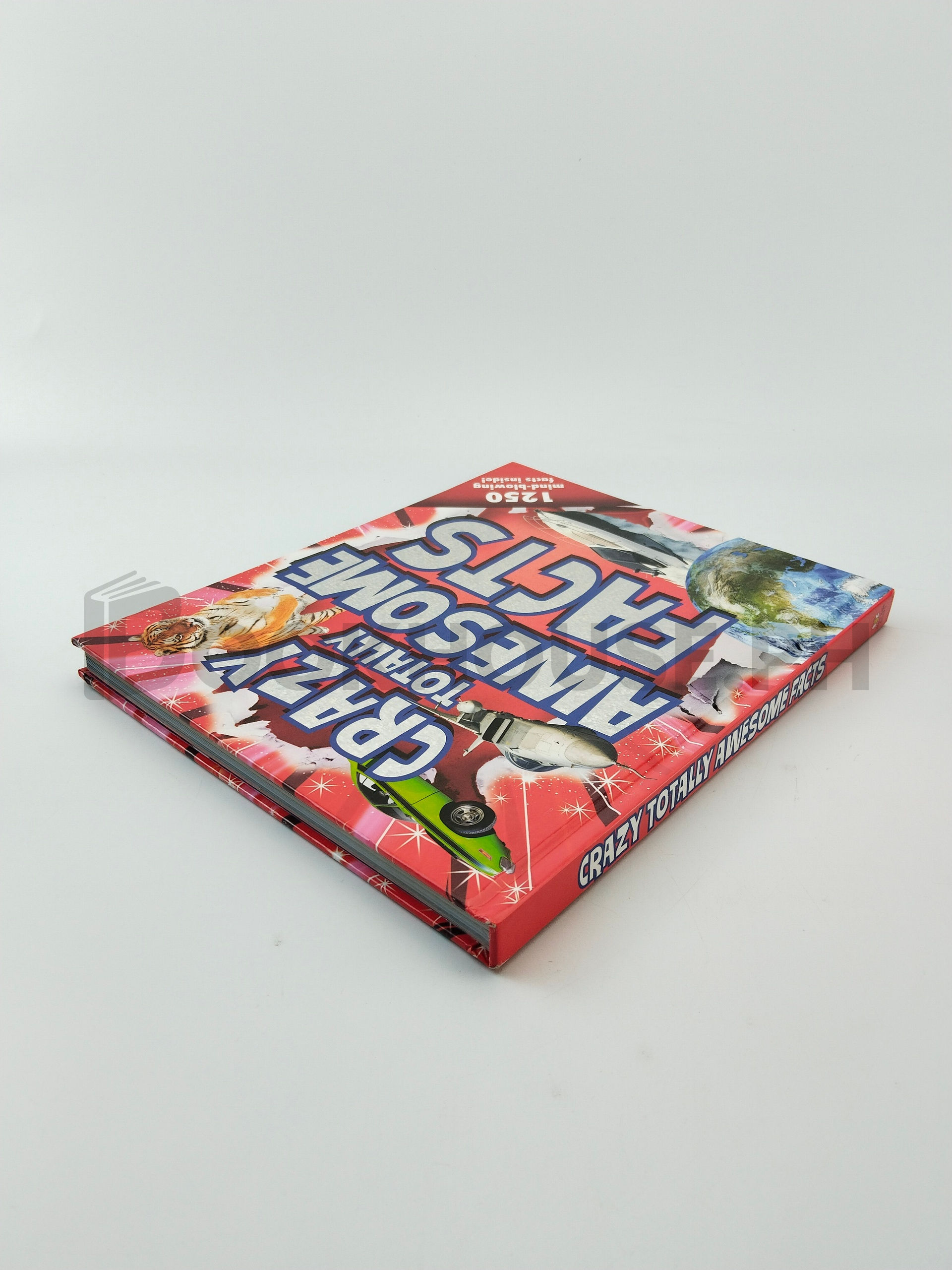 Crazy, Totally Awesome Facts by Little Bee Books - Image 2