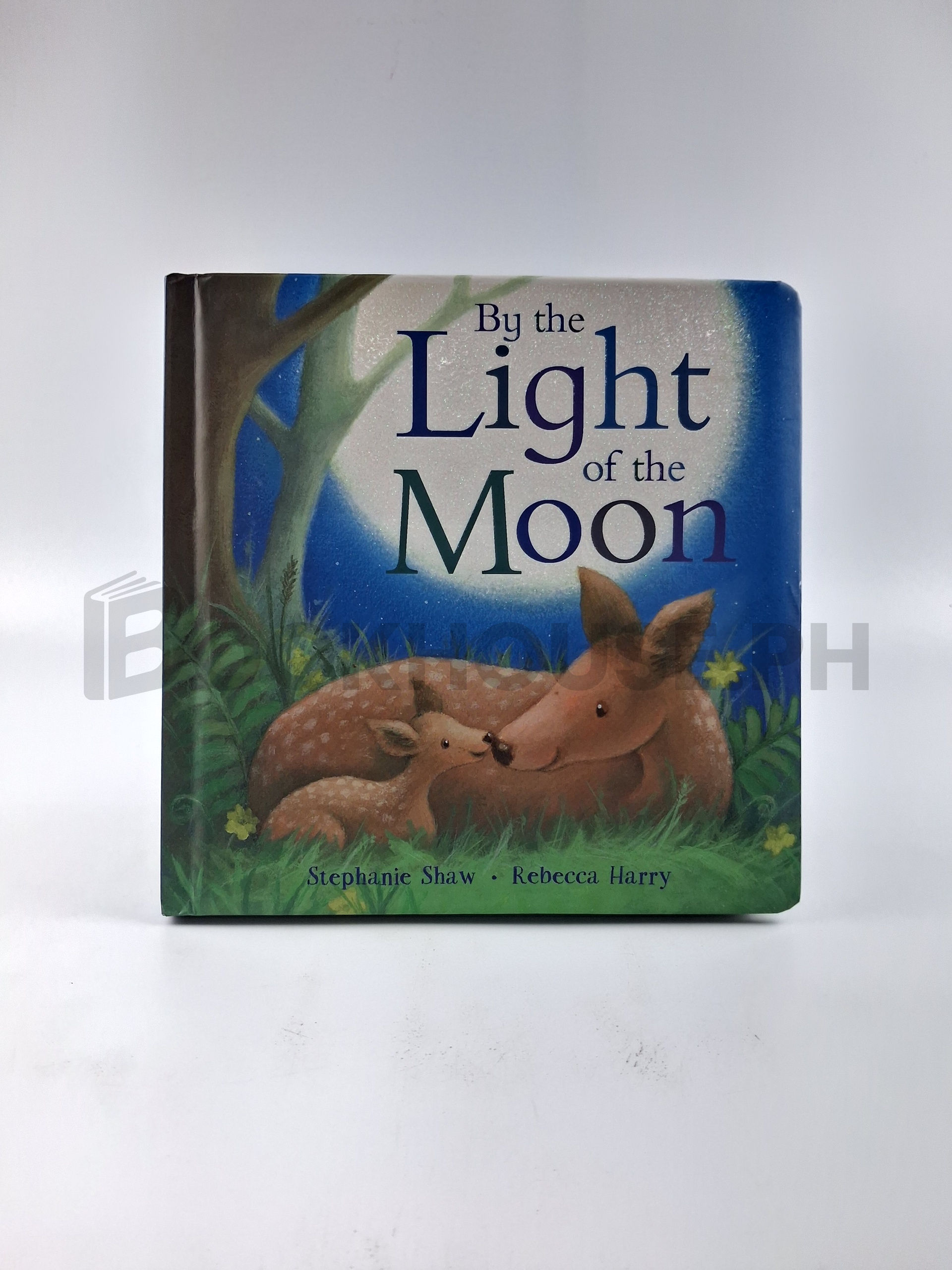 By The Light Of The Moon by Stephanie Shaw