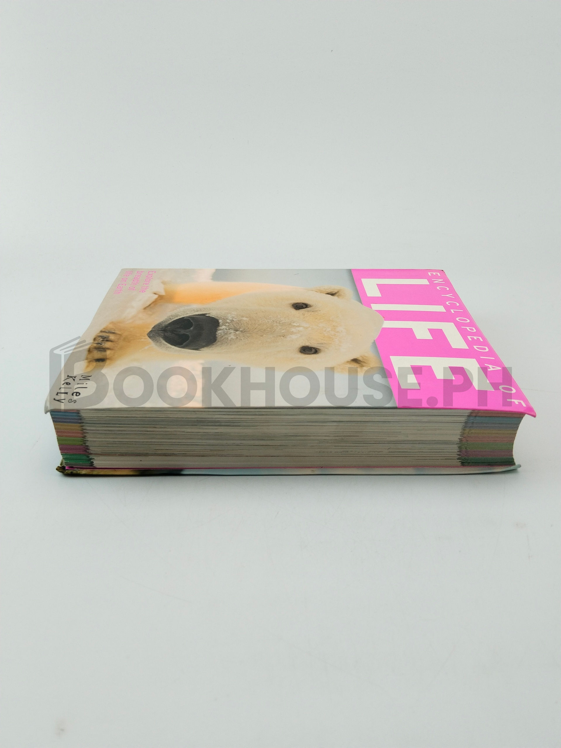 Encyclopedia Of Life by Miles Kelly, Various - Image 4