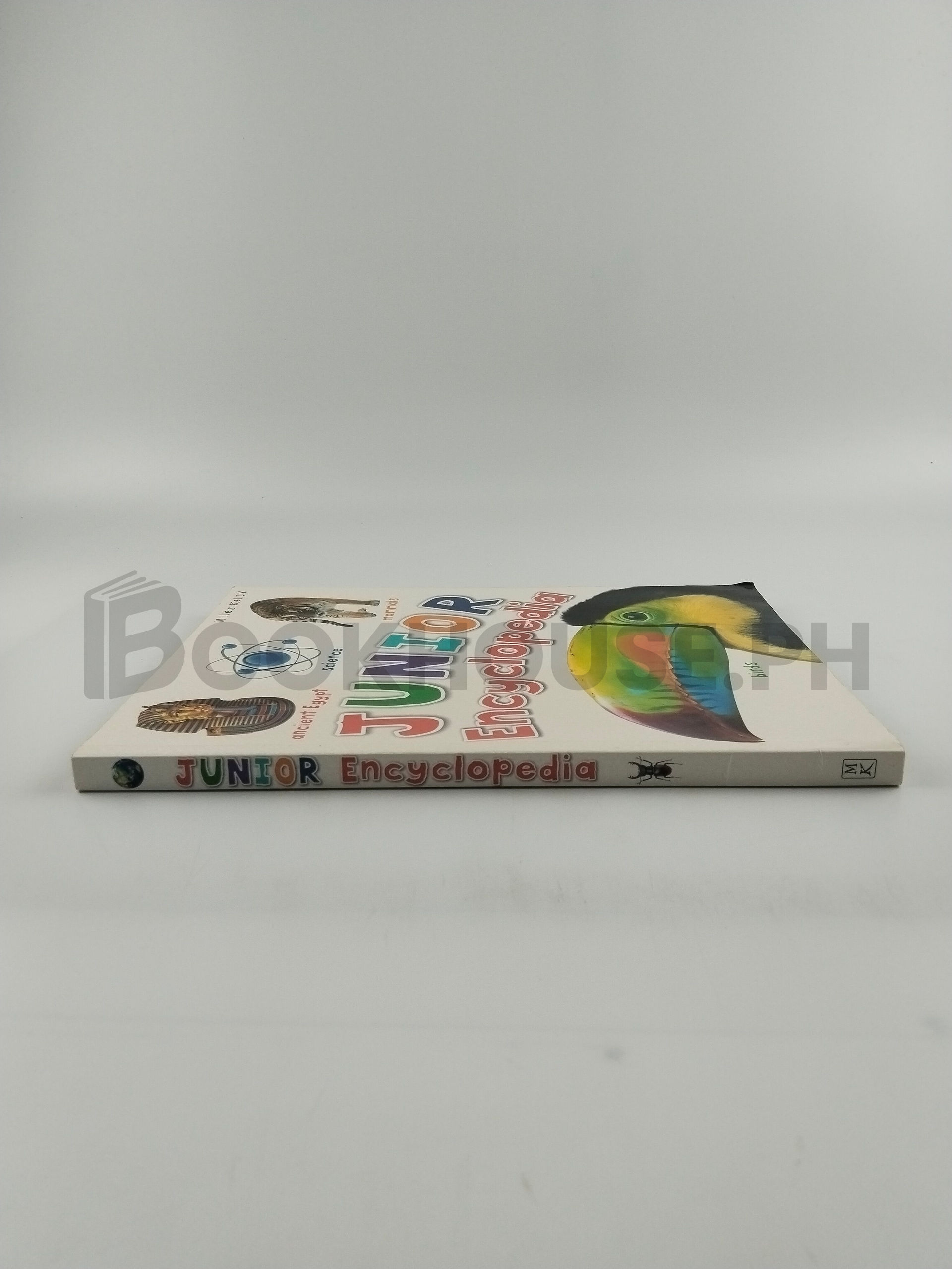 Junior Encyclopedia by Miles Kelly - Image 3