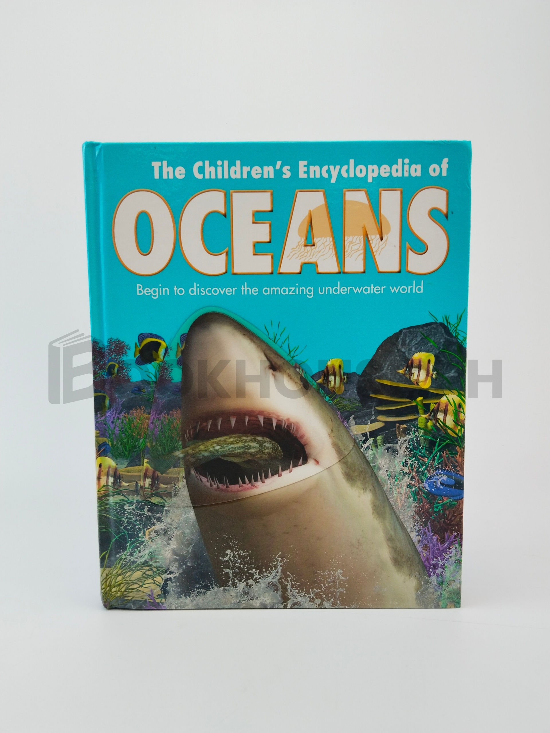 The Children's Encyclopedia Of Oceans by Sally Morgan, John Weinberg