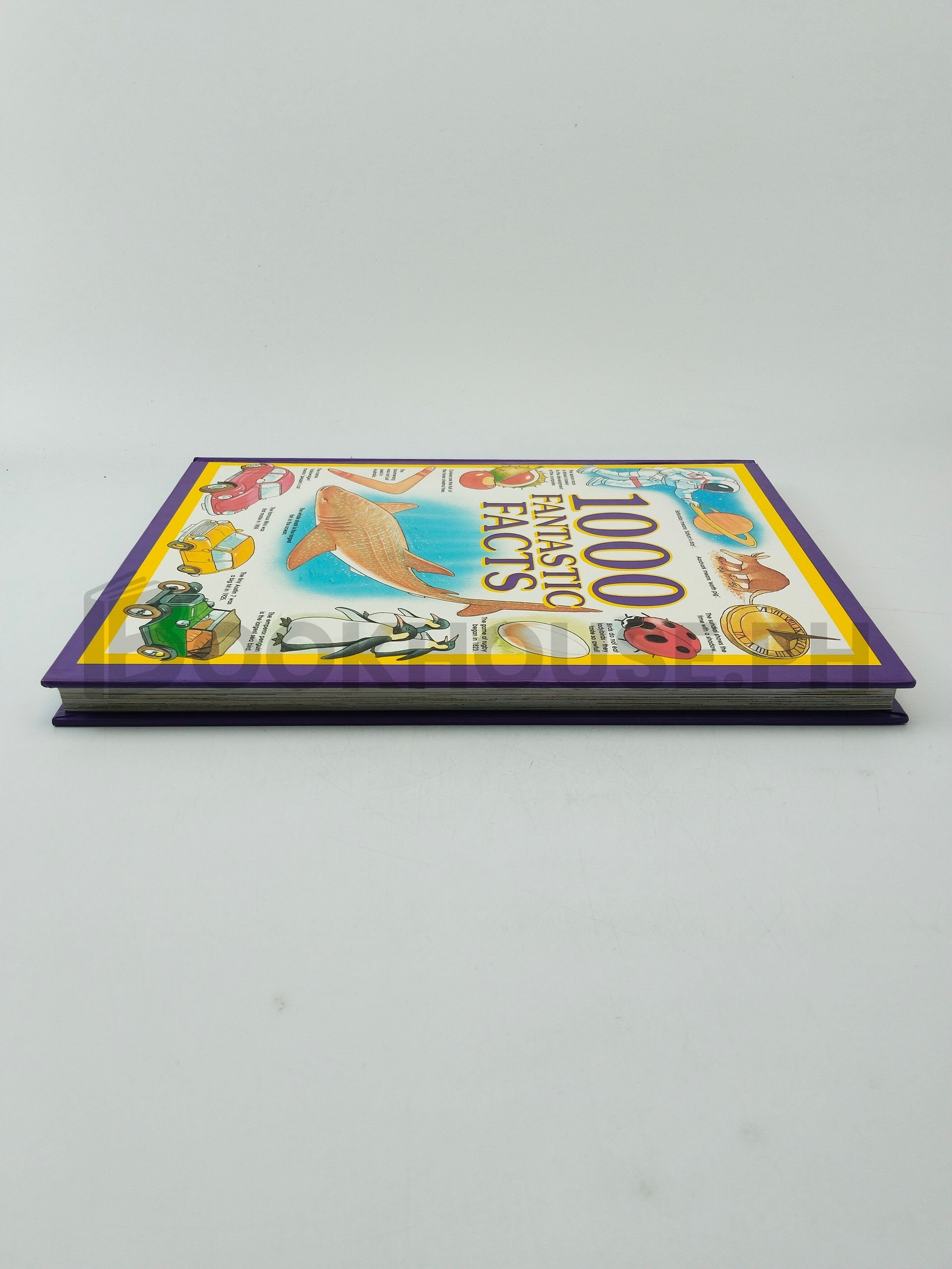 1000 Fantastic Facts by Grandreams Limited - Image 4