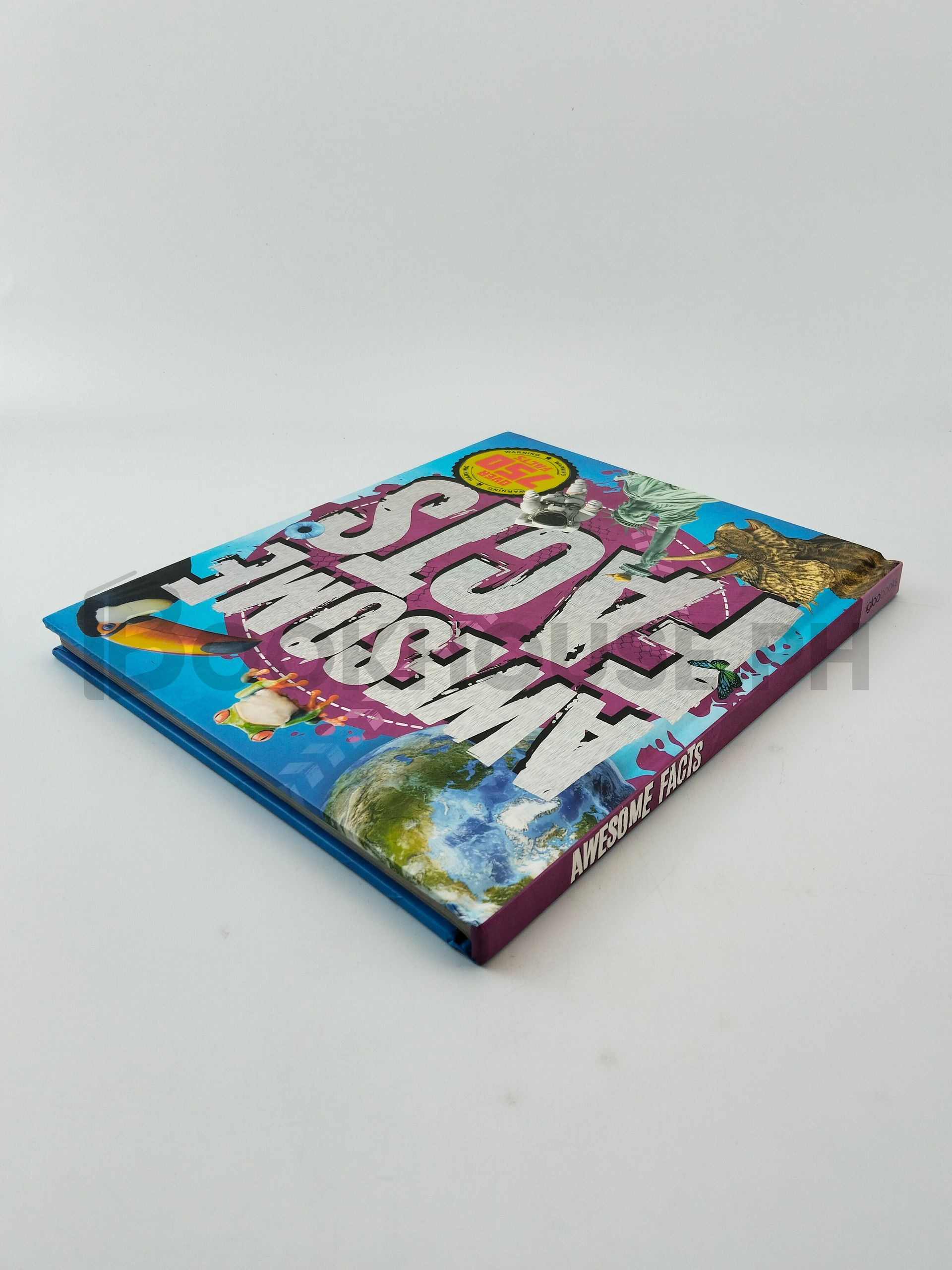 Awesome Facts by Igloobooks - Image 2