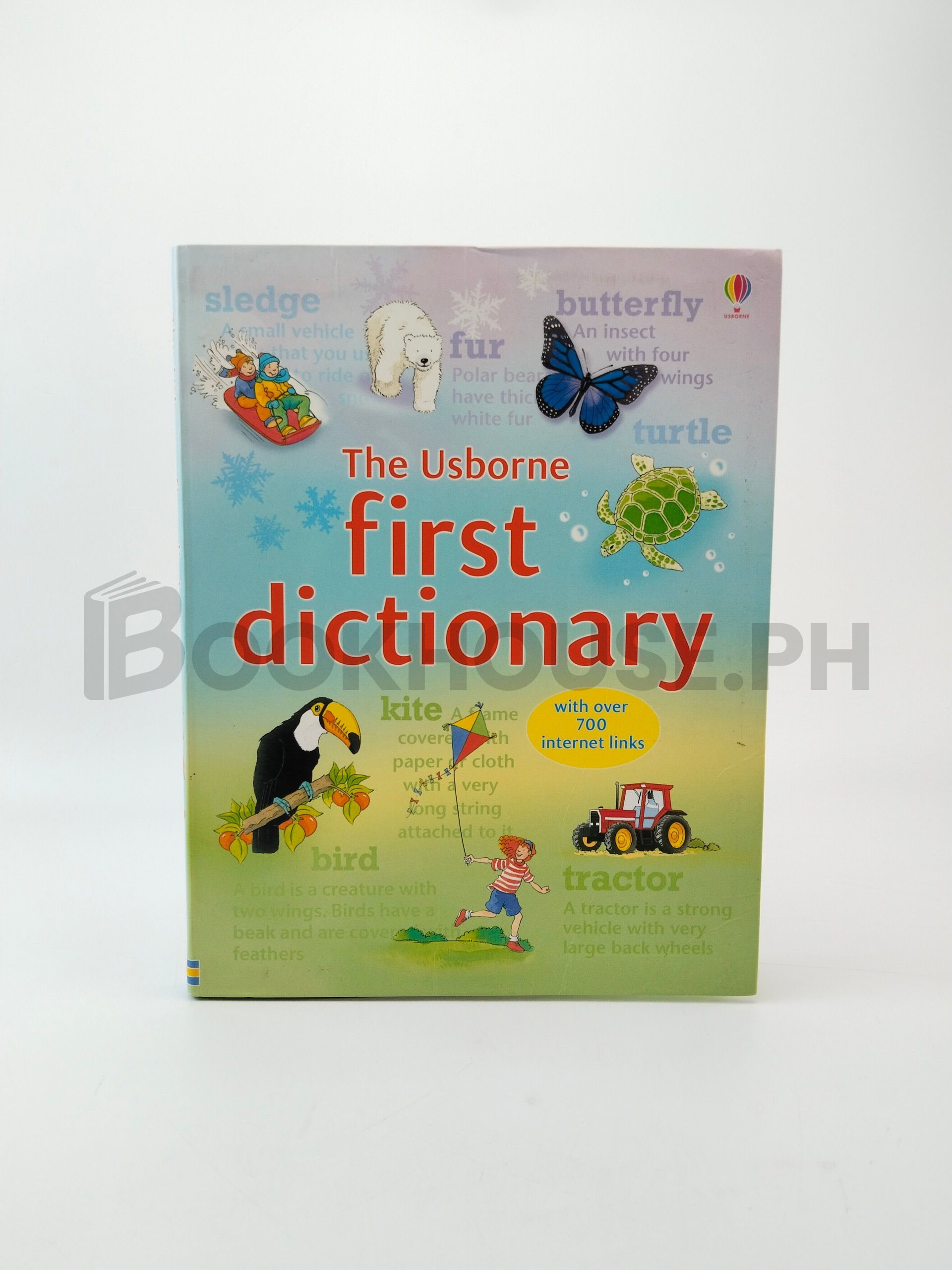 First Dictionary by Rachel Wardley, Jane Bingham, Mark Mason Studio
