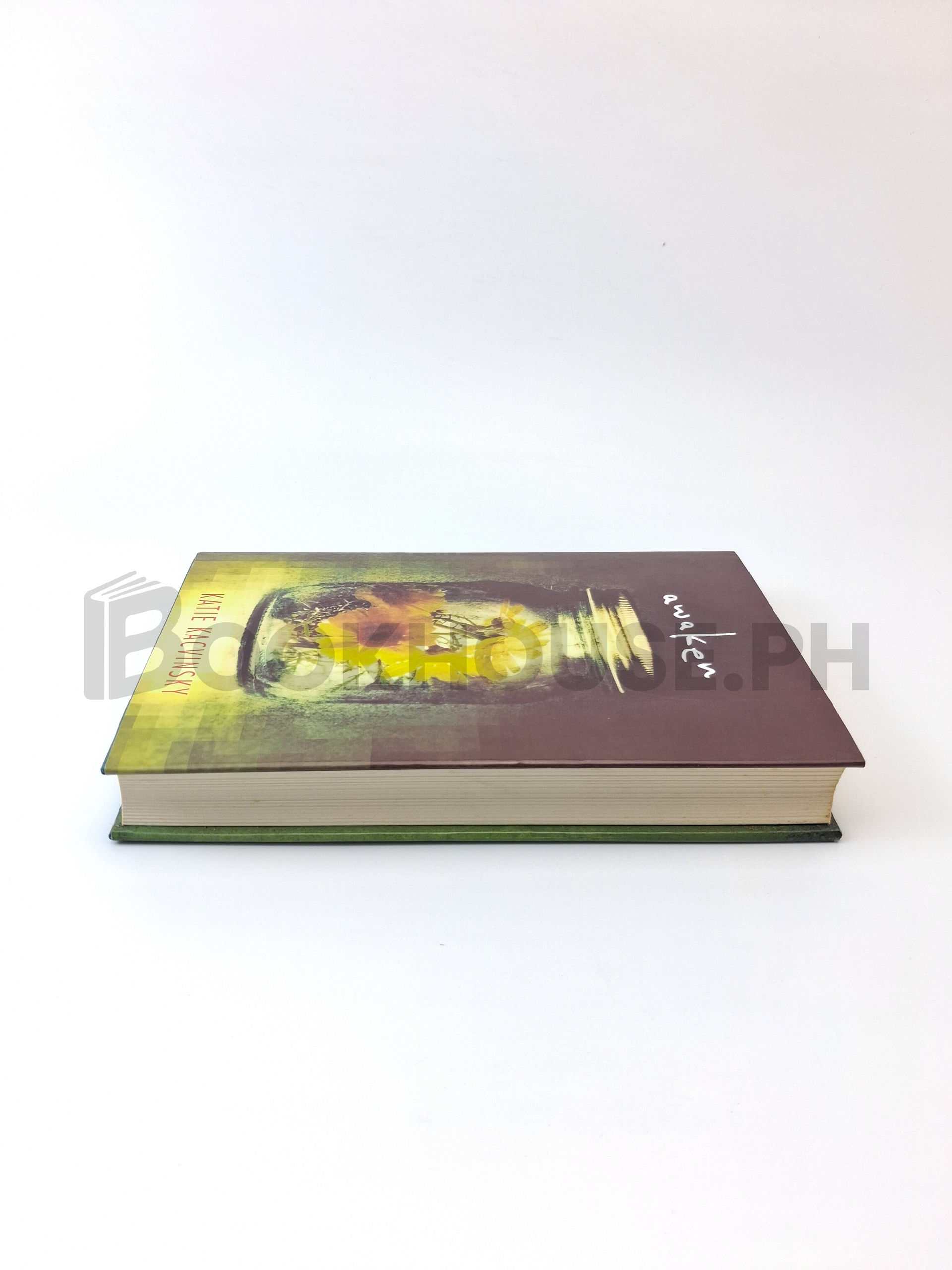 Awaken by Katie Kacvinsky - Image 4