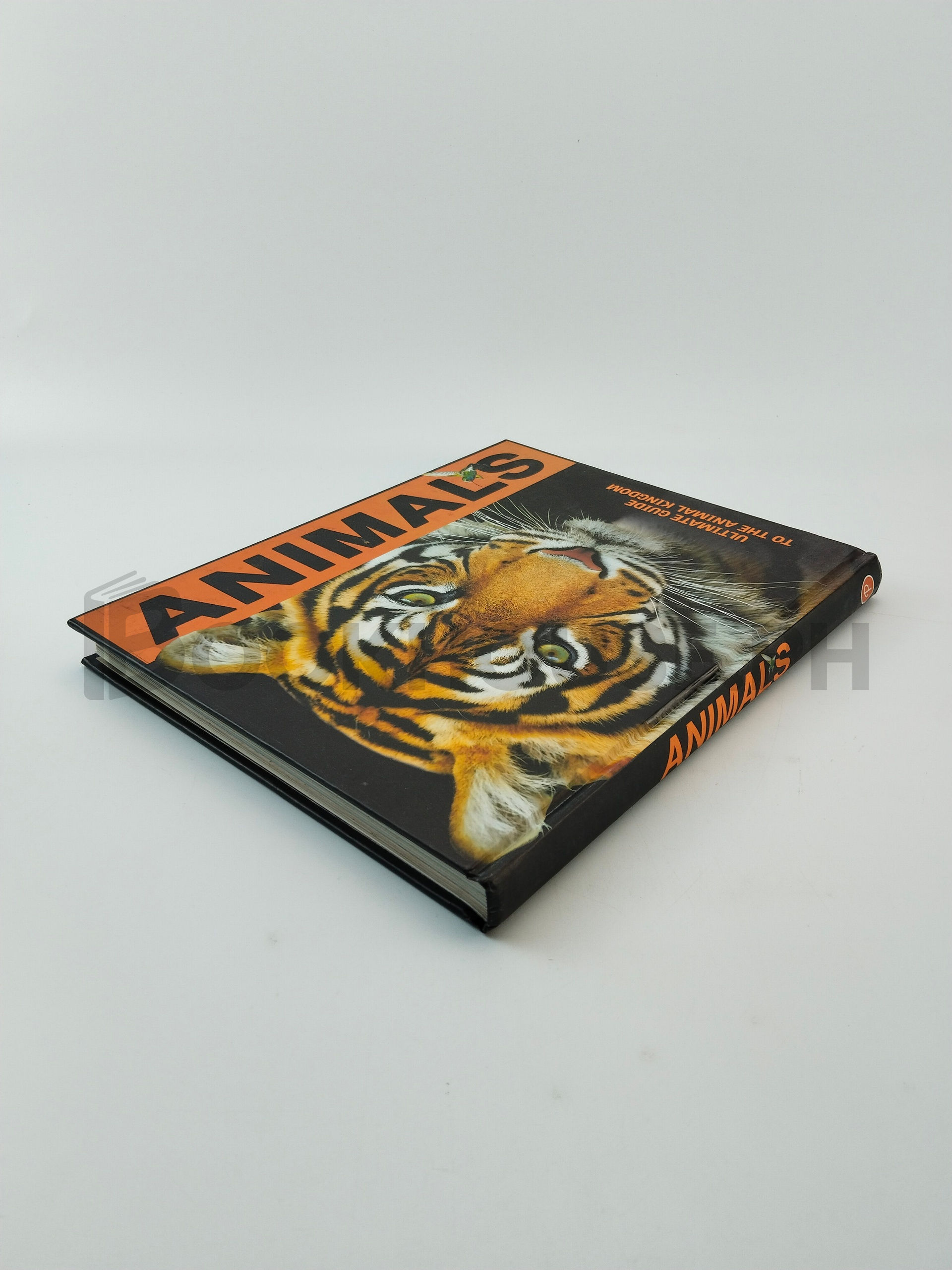 Animals by Parragon - Image 2