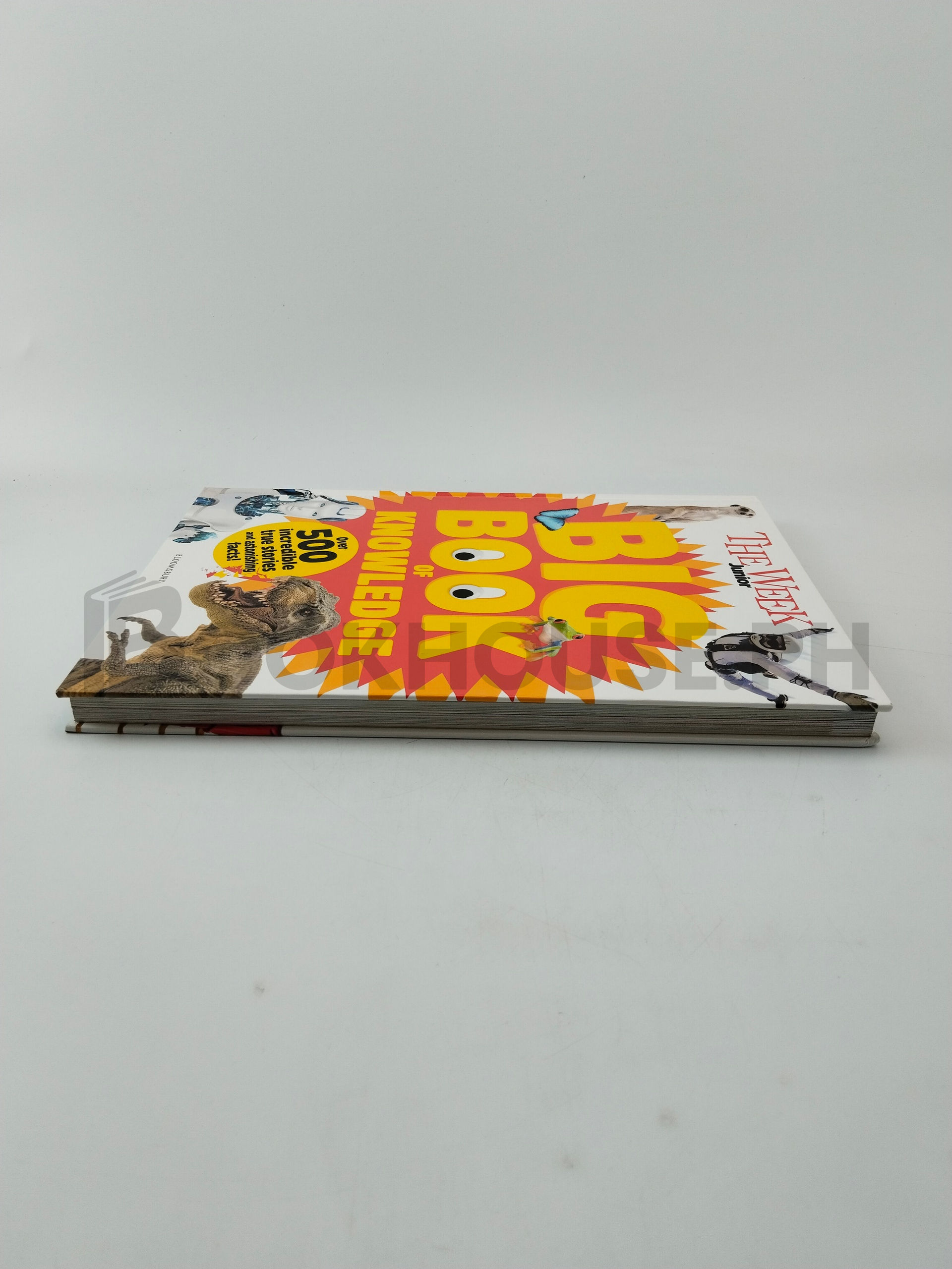 The Week Junior Big Book Of Knowledge by The Week Junior - Image 4