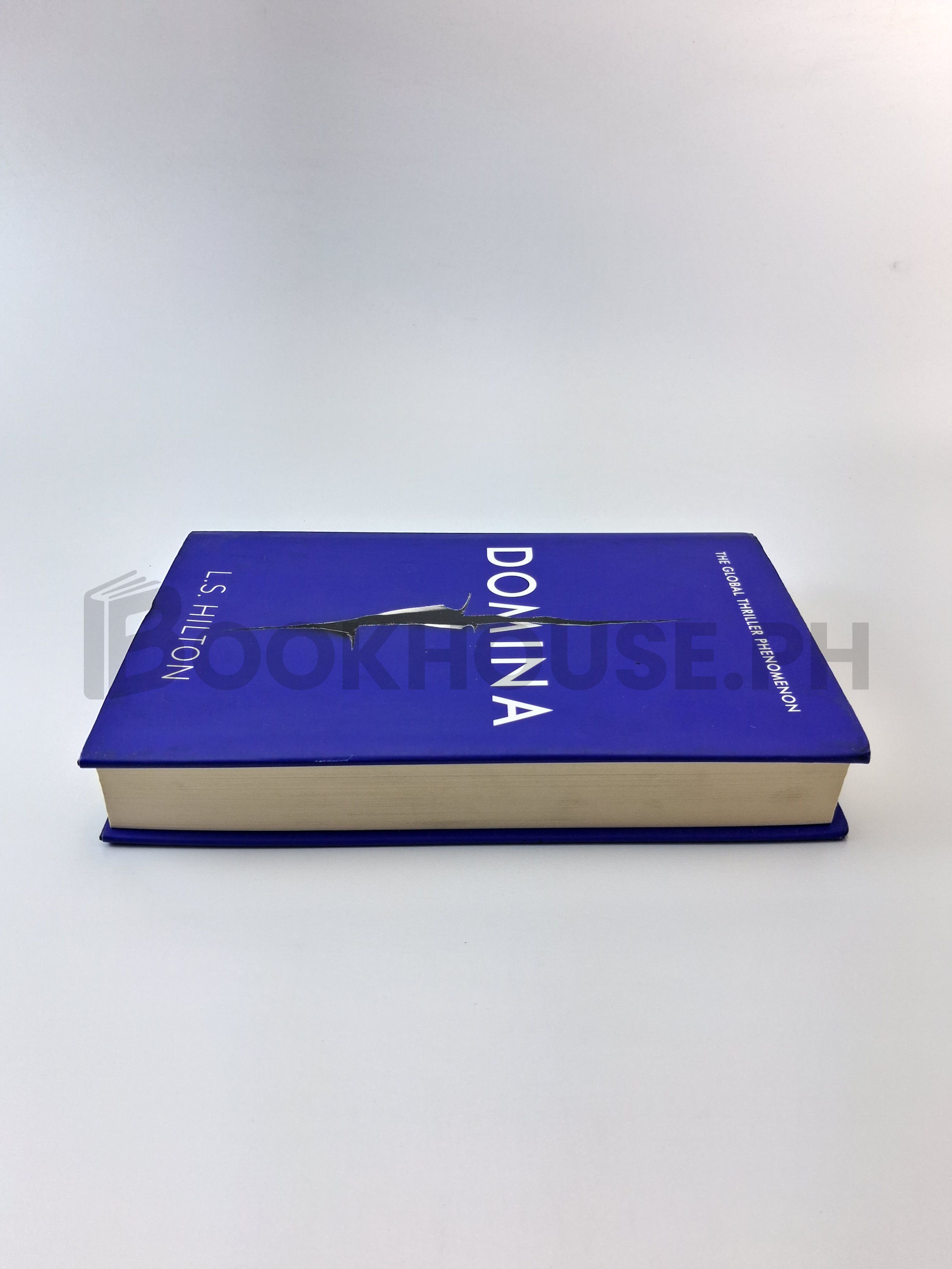 Domina by L. S. Hilton - Image 4