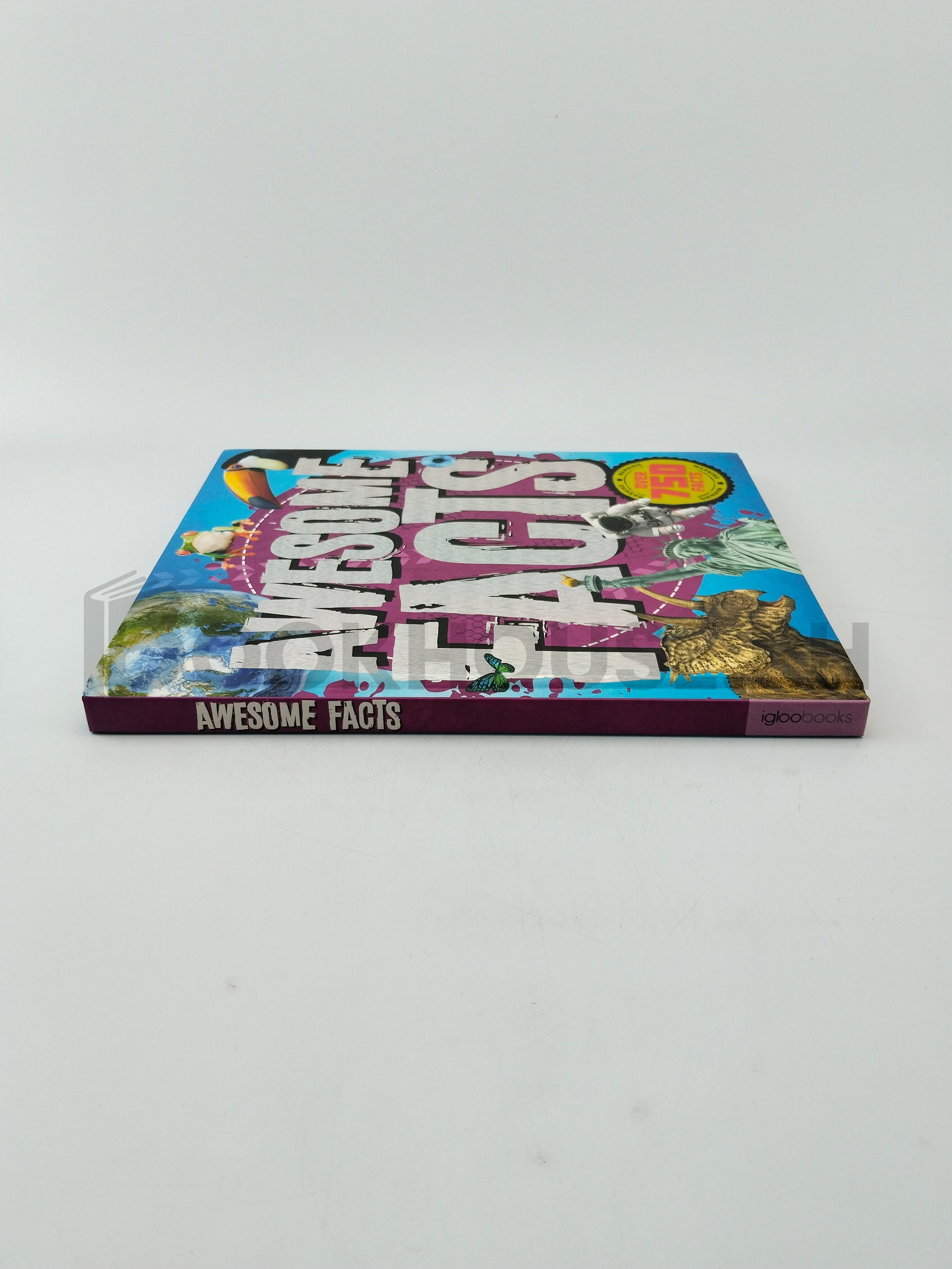 Awesome Facts by Igloobooks - Image 3