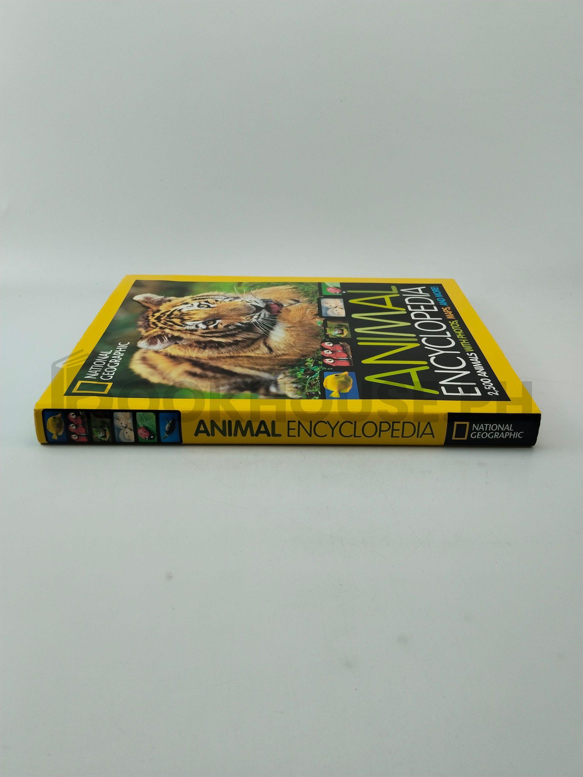 National Geographic Animal Encyclopedia by Lucy Spelman, Lucy H. Spelman - Image 3