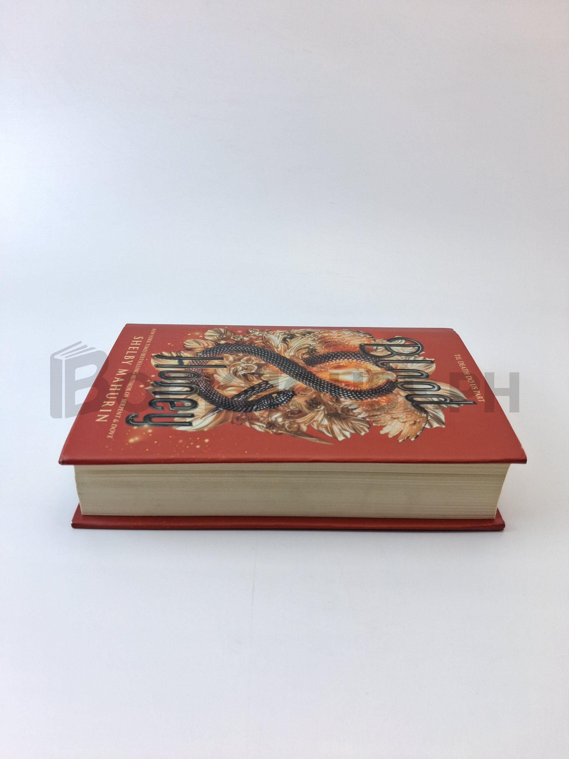 Blood & Honey by Shelby Mahurin - Image 4