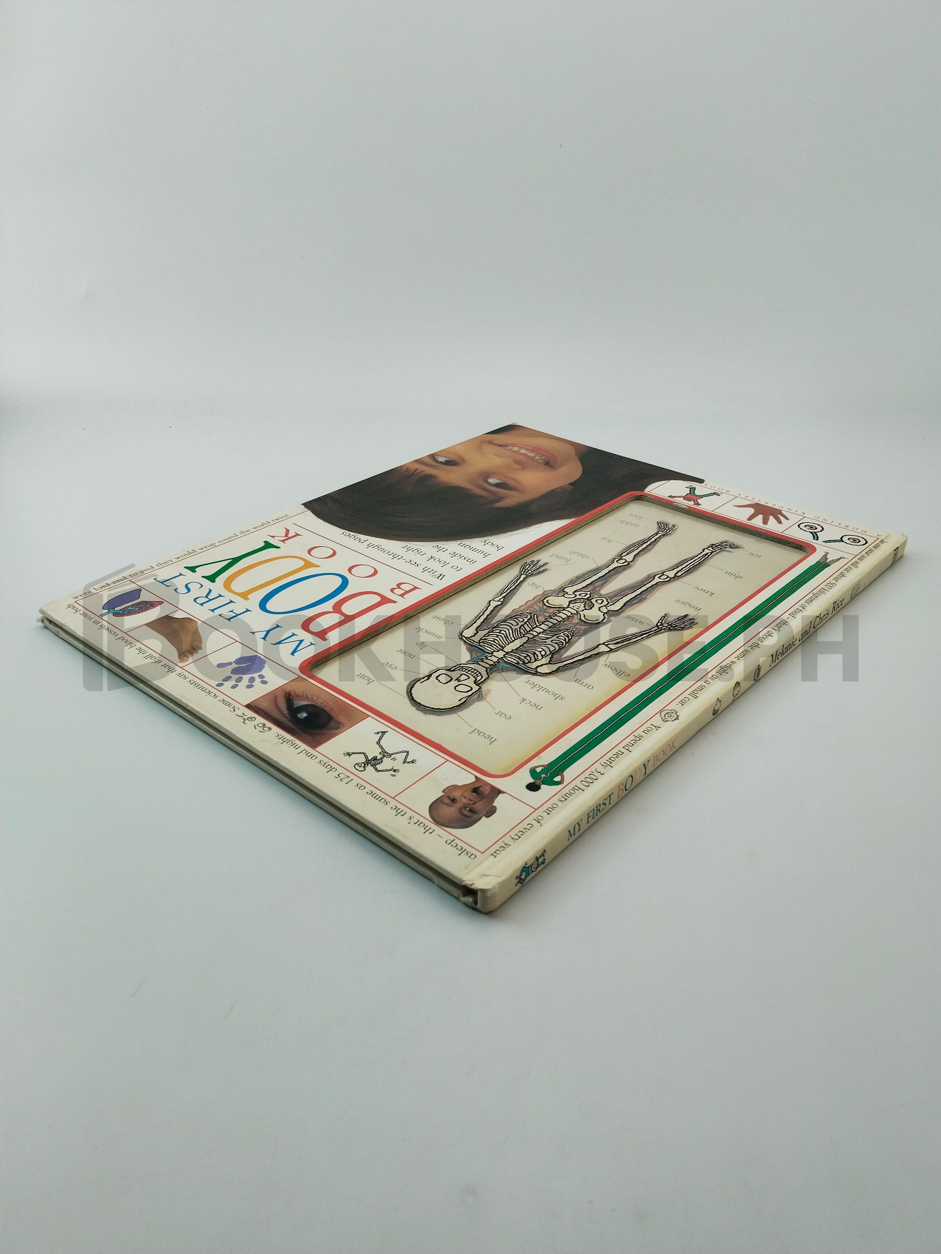 My First Body Book by Melanie Rice - Image 2