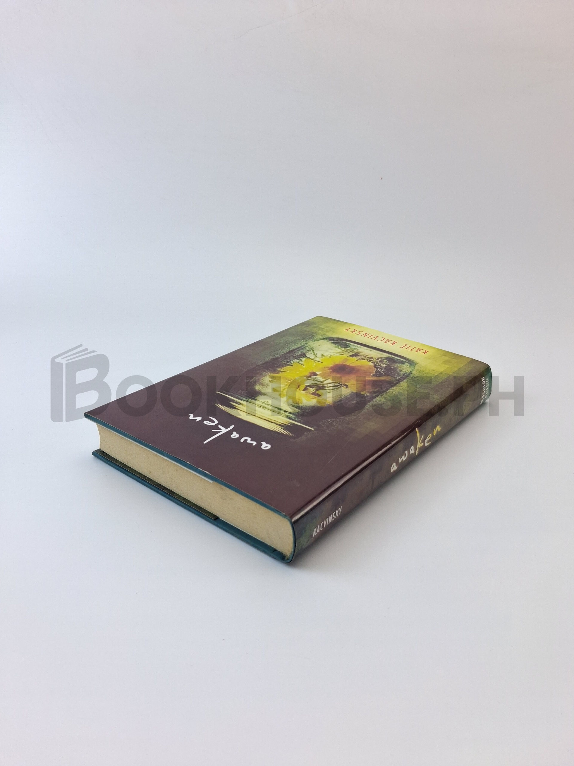 Awaken by Katie Kacvinsky - Image 2