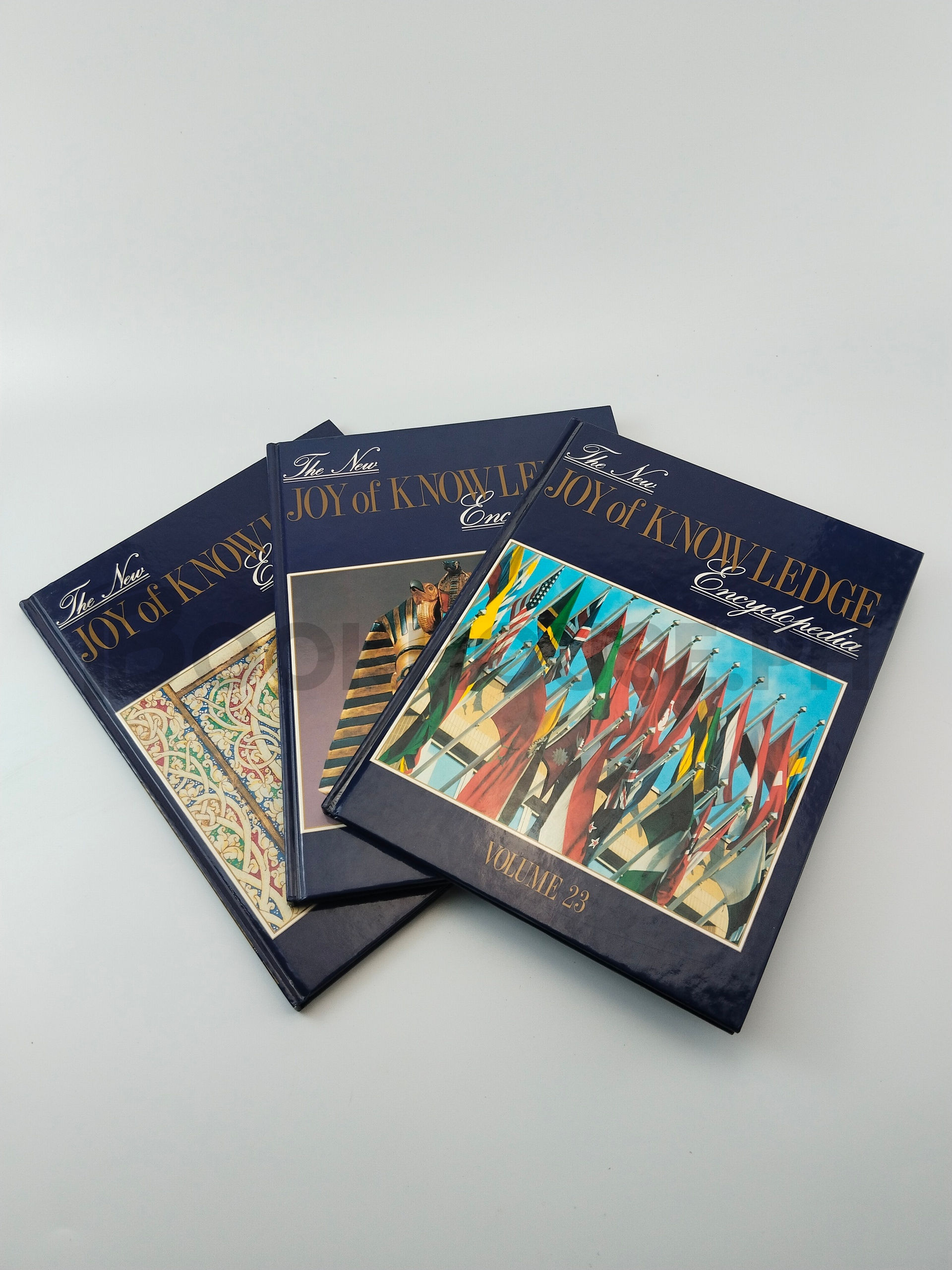 Vol. 23 Organization Of Societies, Vol. 25 Ancient History, Vol. 52 Fact File: X by The New Joy Of Knowledge Encyclopedia - Image 5