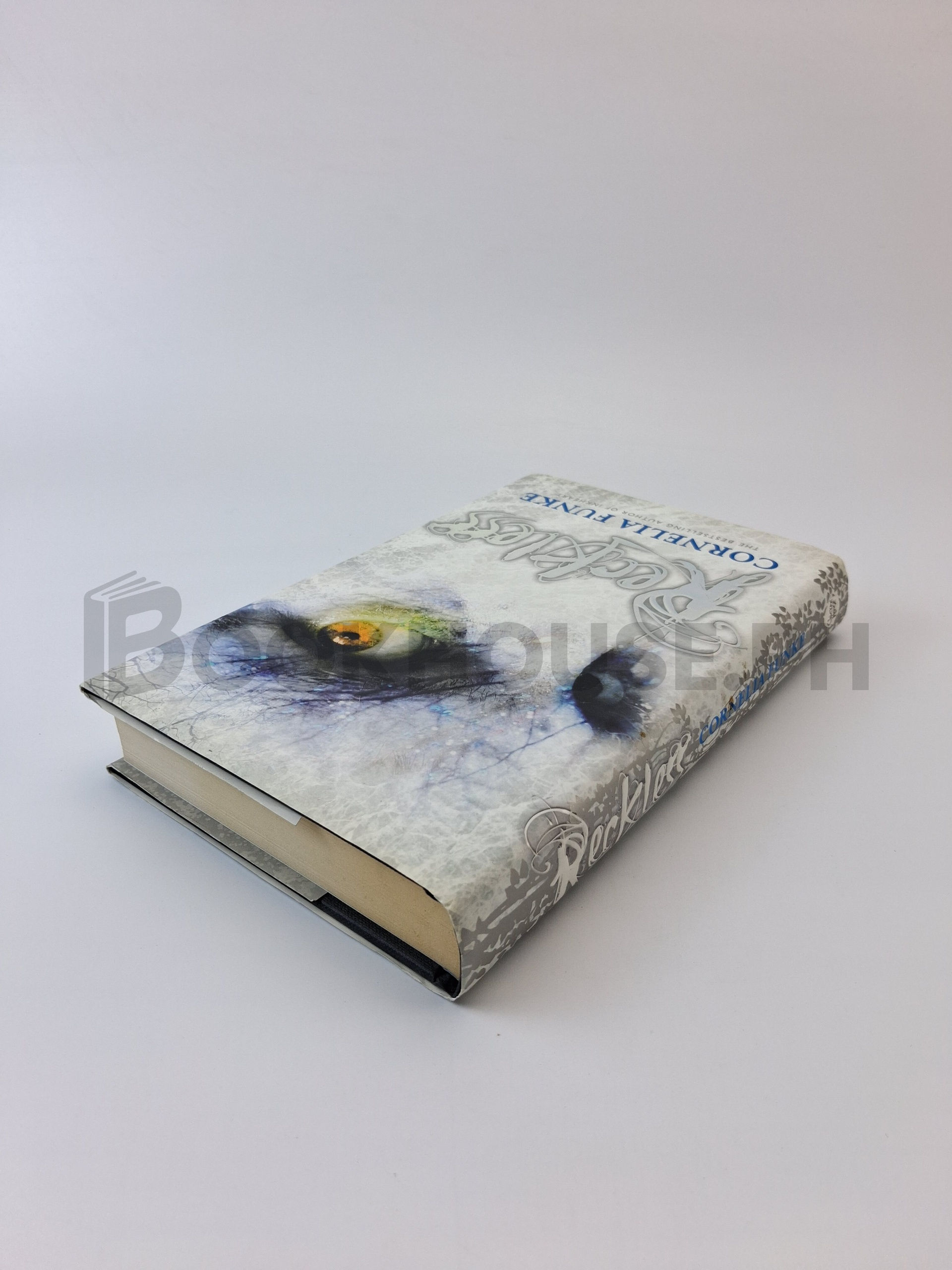 Reckless by Cornelia Caroline Funke - Image 2