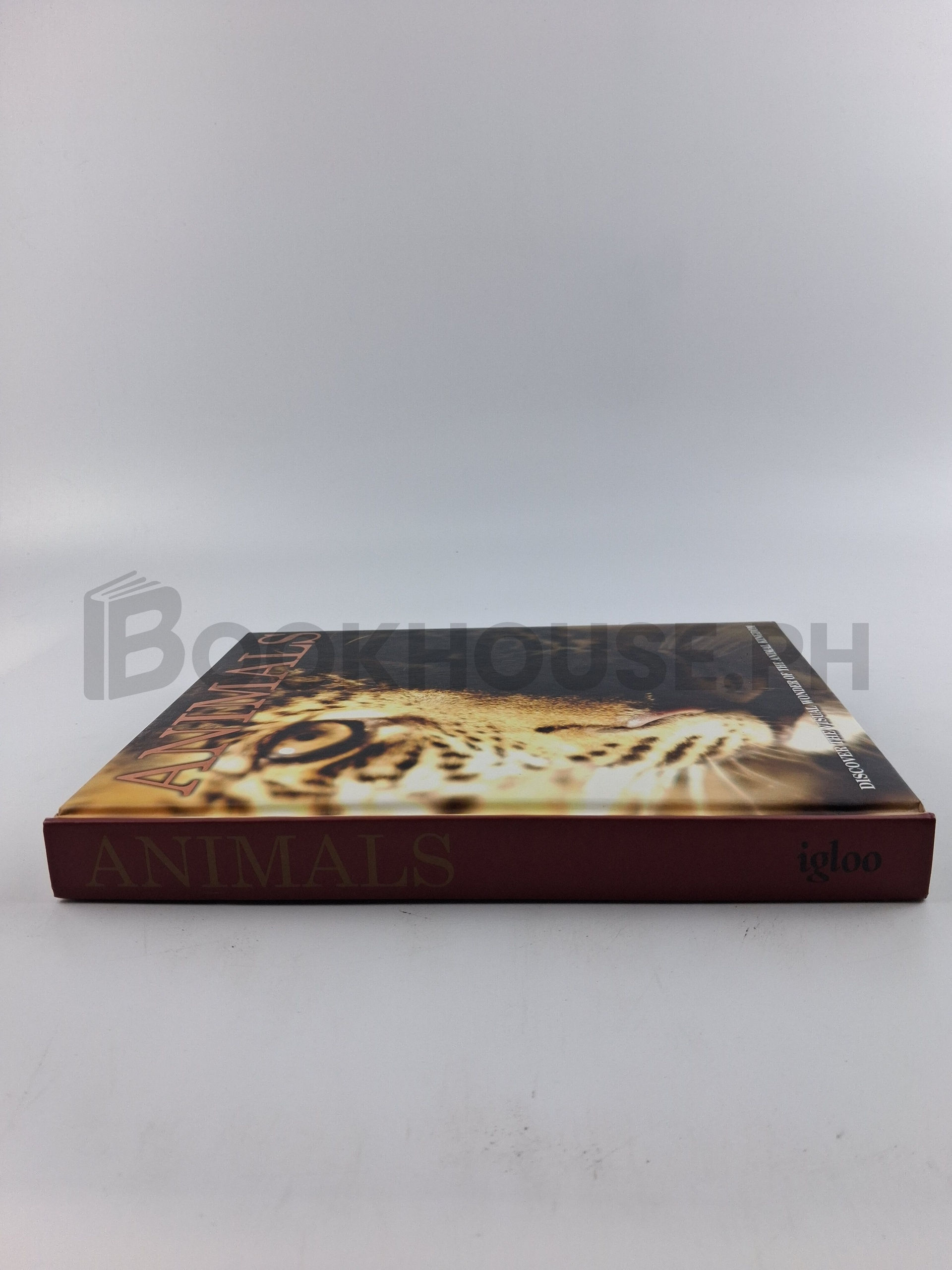 Animals Discover The Visual Wonder Of The Animal Kigdom by Igloo - Image 3