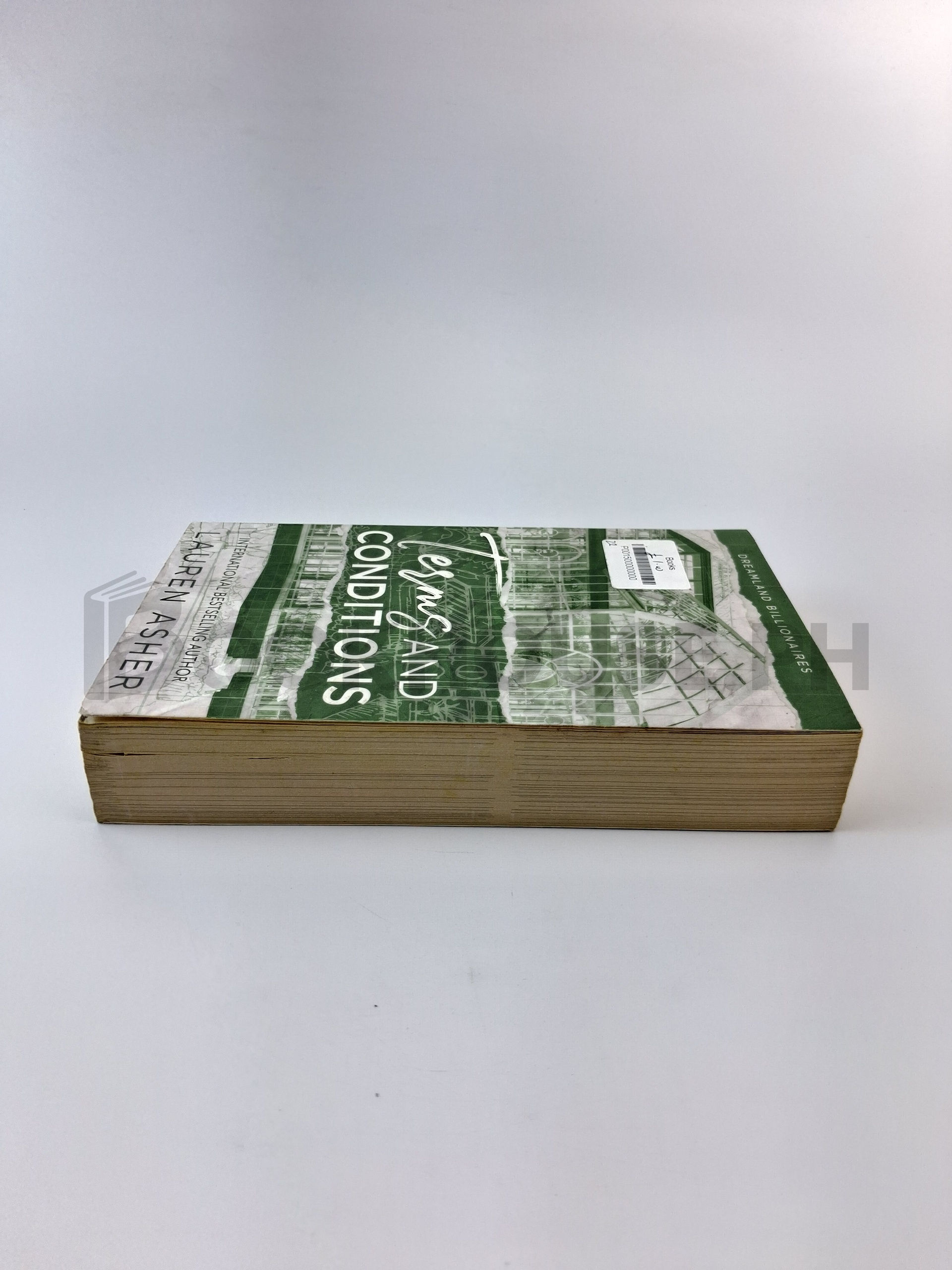 Terms And Conditions by Lauren Asher - Image 4