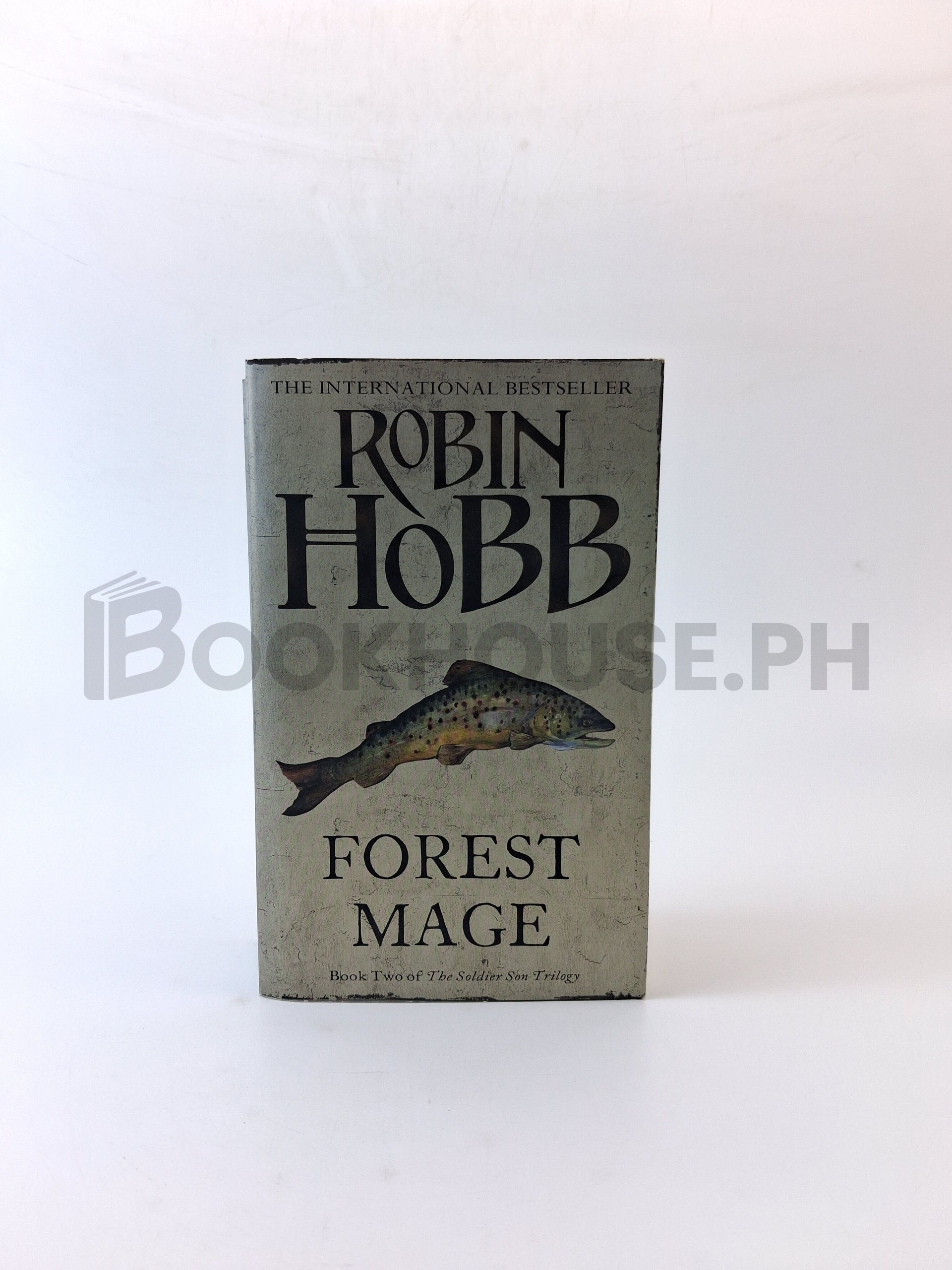 Forest Mage by Robin Hobb