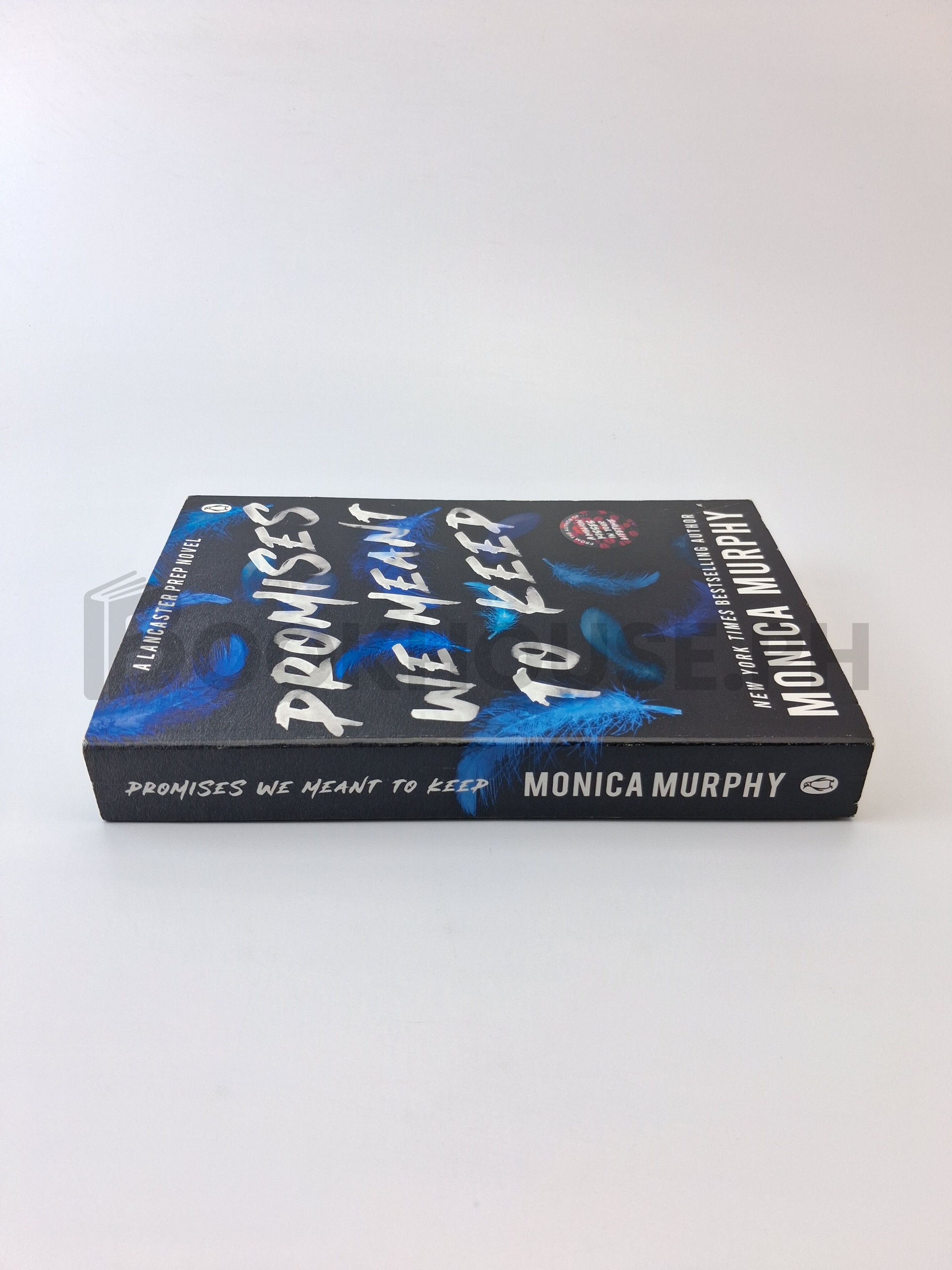 Promises We Meant To Keep by Monica Murphy - Image 3