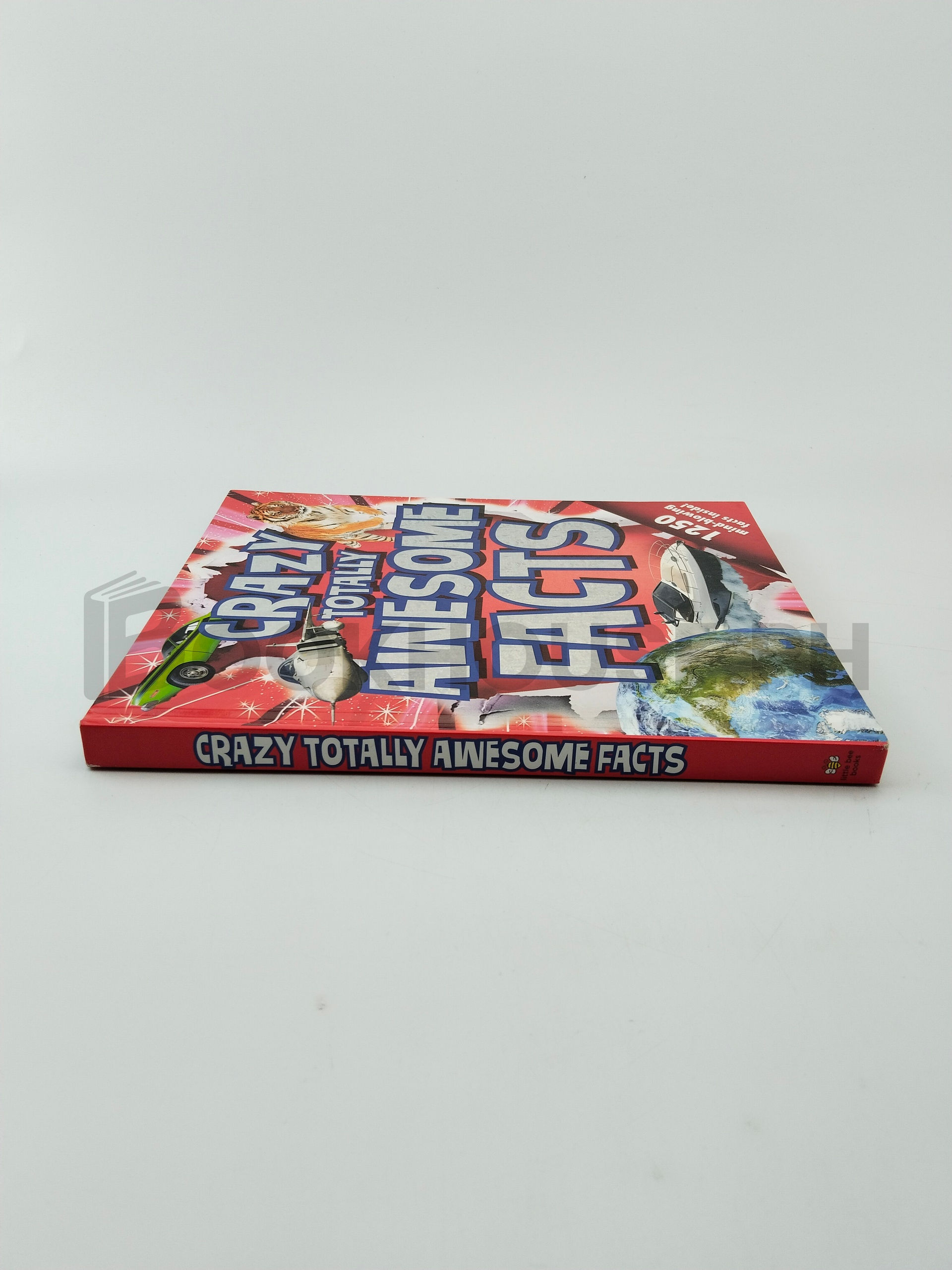 Crazy, Totally Awesome Facts by Little Bee Books - Image 3