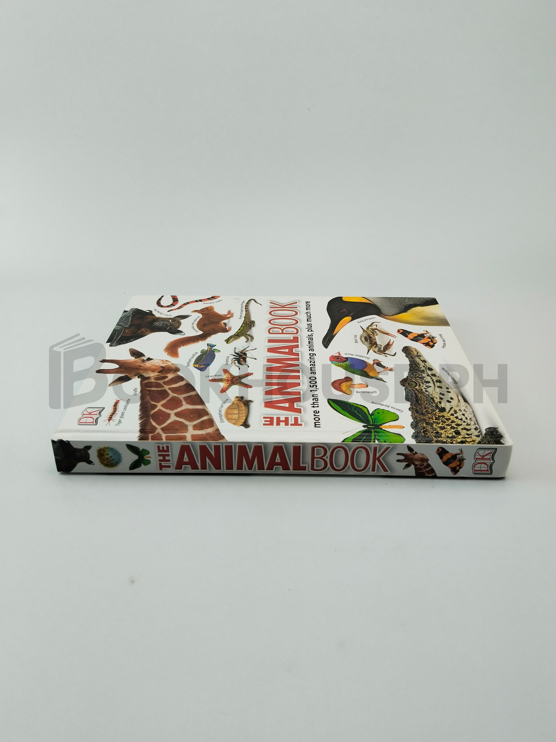 The Animal Book by Dk - Image 3