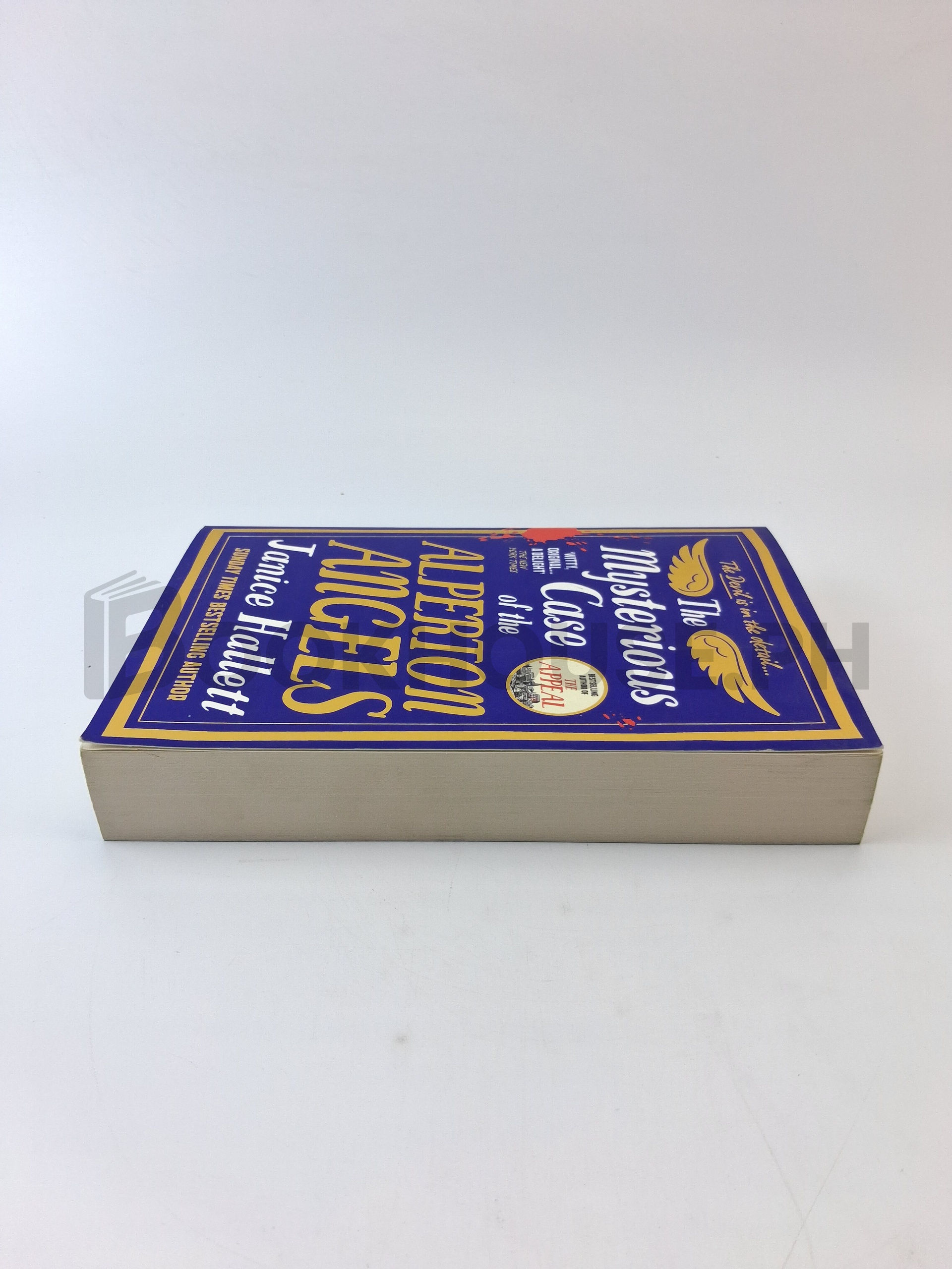 The Mysterious Case Of The Alperton Angels by Janice Hallett - Image 4