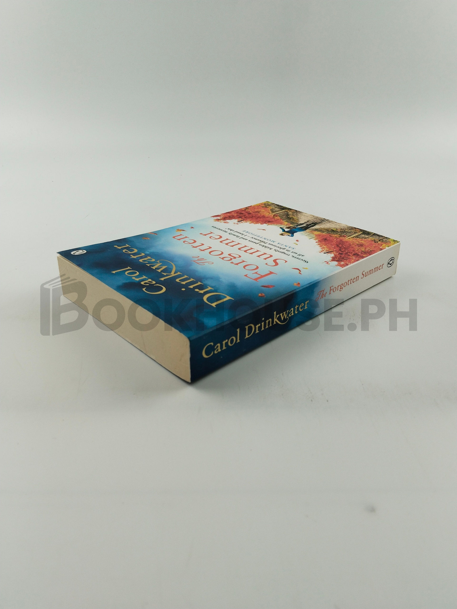 The Forgotten Summer by Carol Drinkwater - Image 2