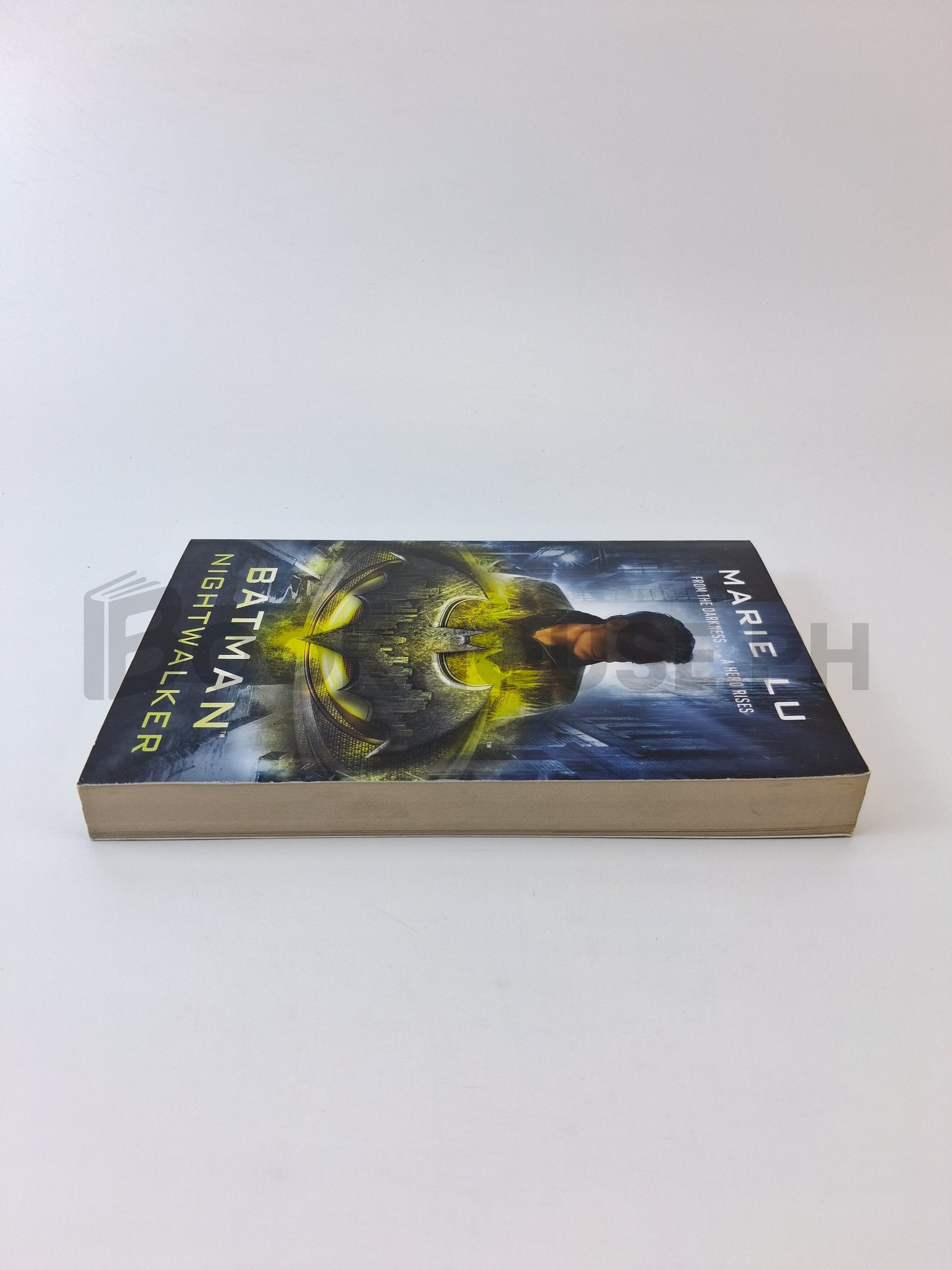 Batman by Marie Lu - Image 4