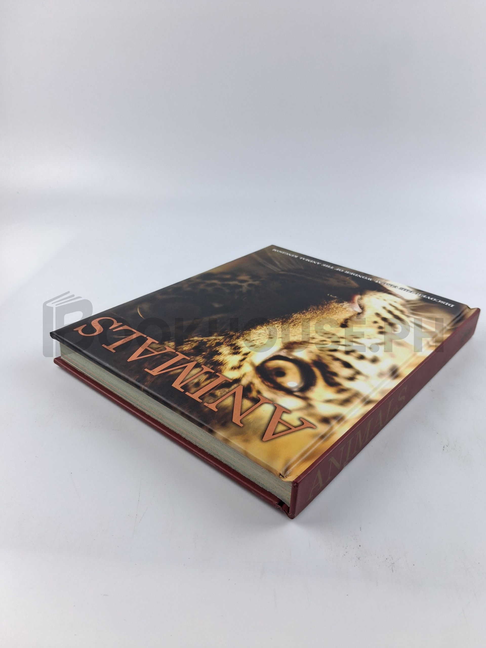 Animals Discover The Visual Wonder Of The Animal Kigdom by Igloo - Image 2