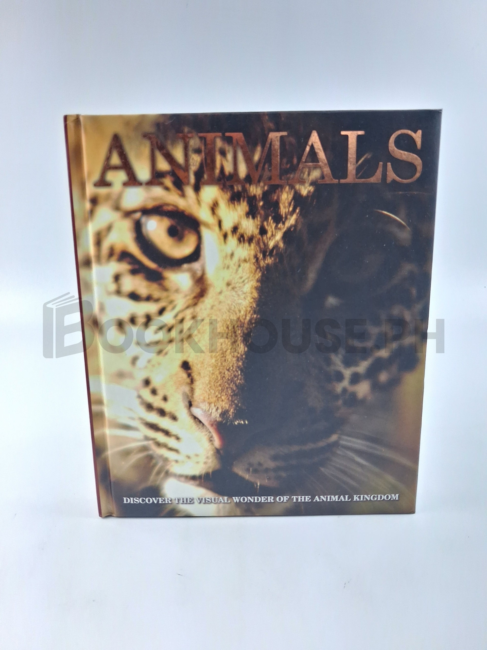 Animals Discover The Visual Wonder Of The Animal Kigdom by Igloo