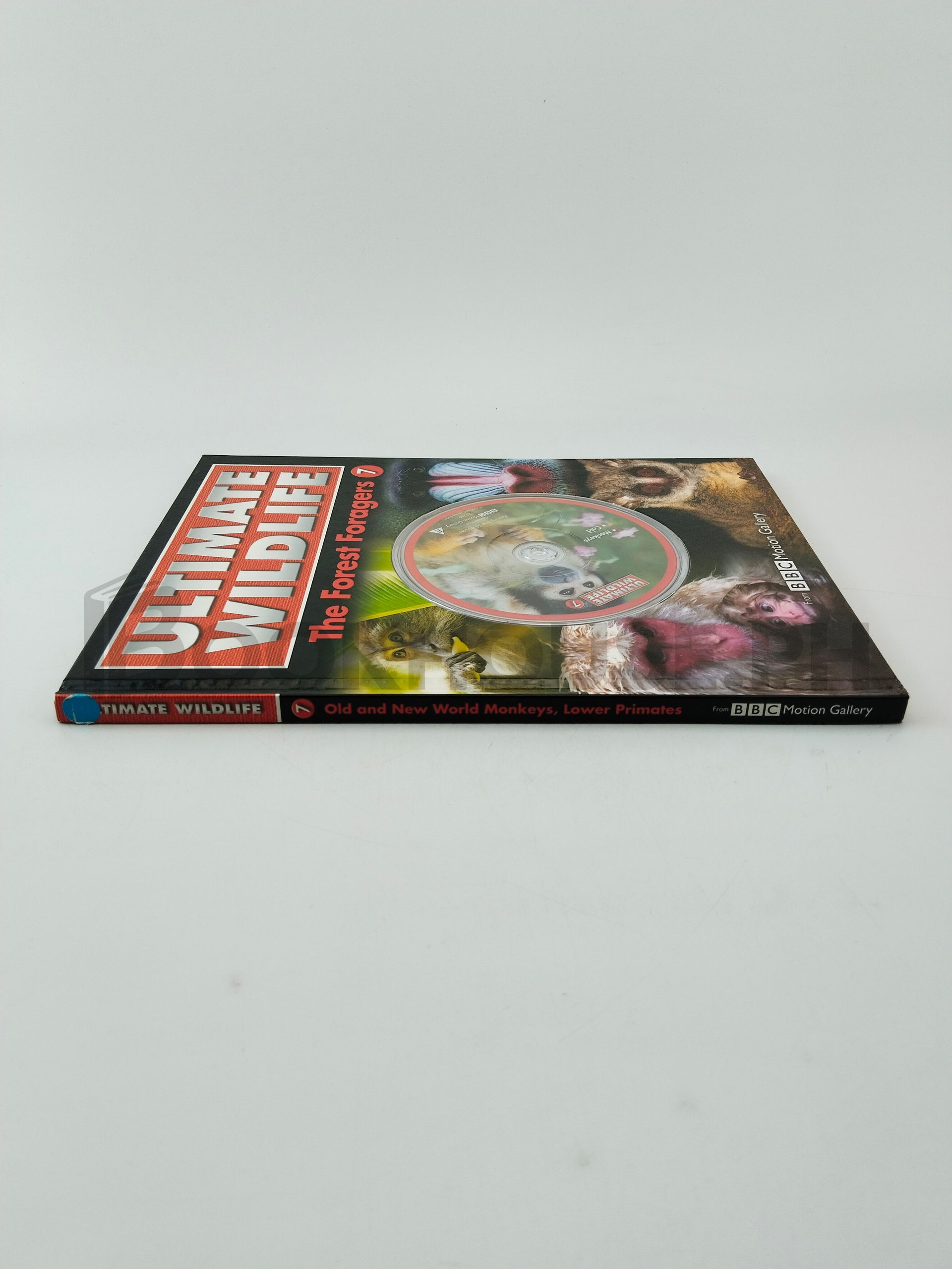 Ultimate Wildlife The Forest Foragers by Bbc Motion Gallery - Image 3