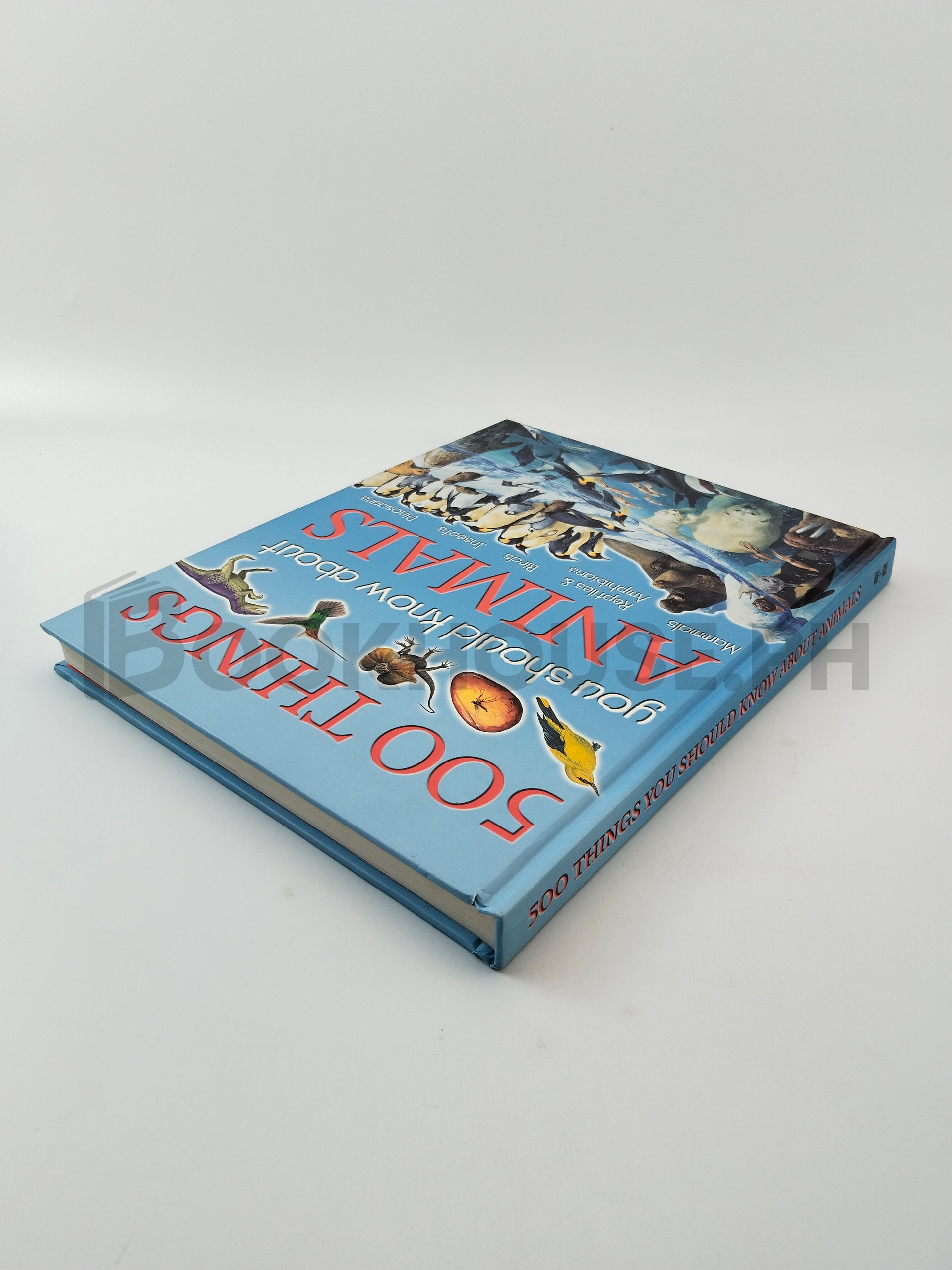 500 Things You Should Know About Animals by Jinny Johnson, Ann Kay - Image 2