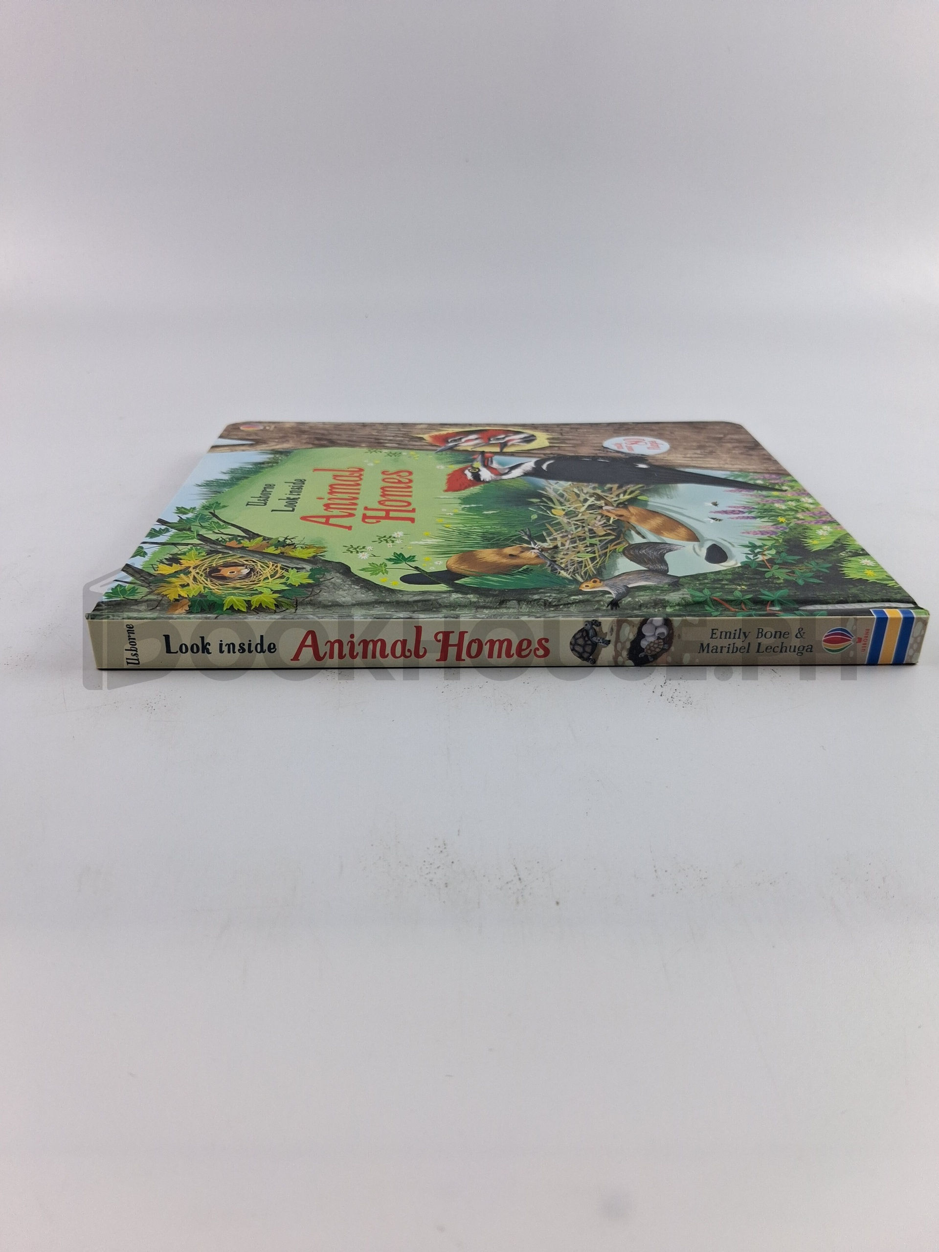 Look Inside Animal Homes by Emily Bone - Image 3