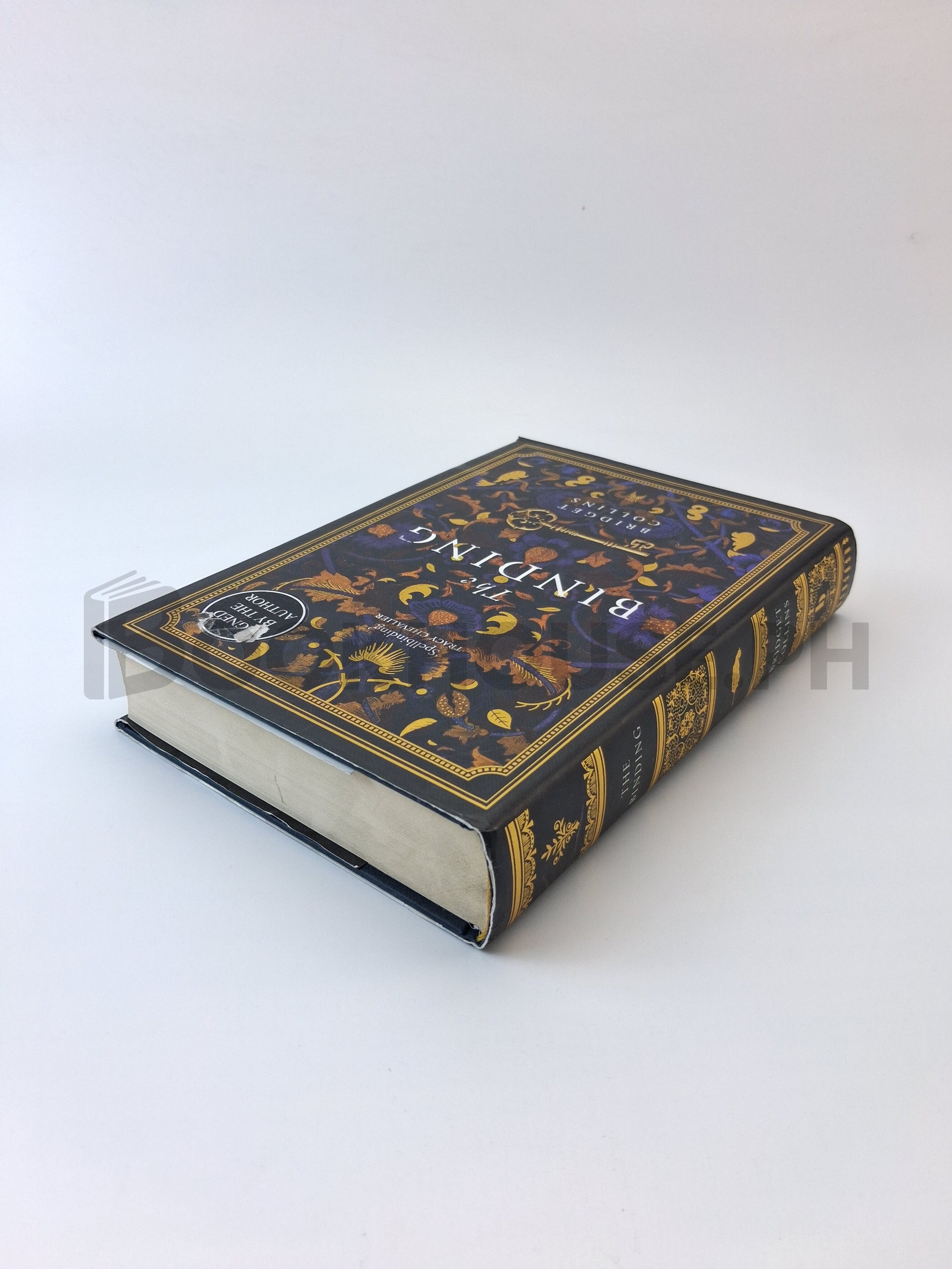 The Binding by Bridget Collins - Image 2